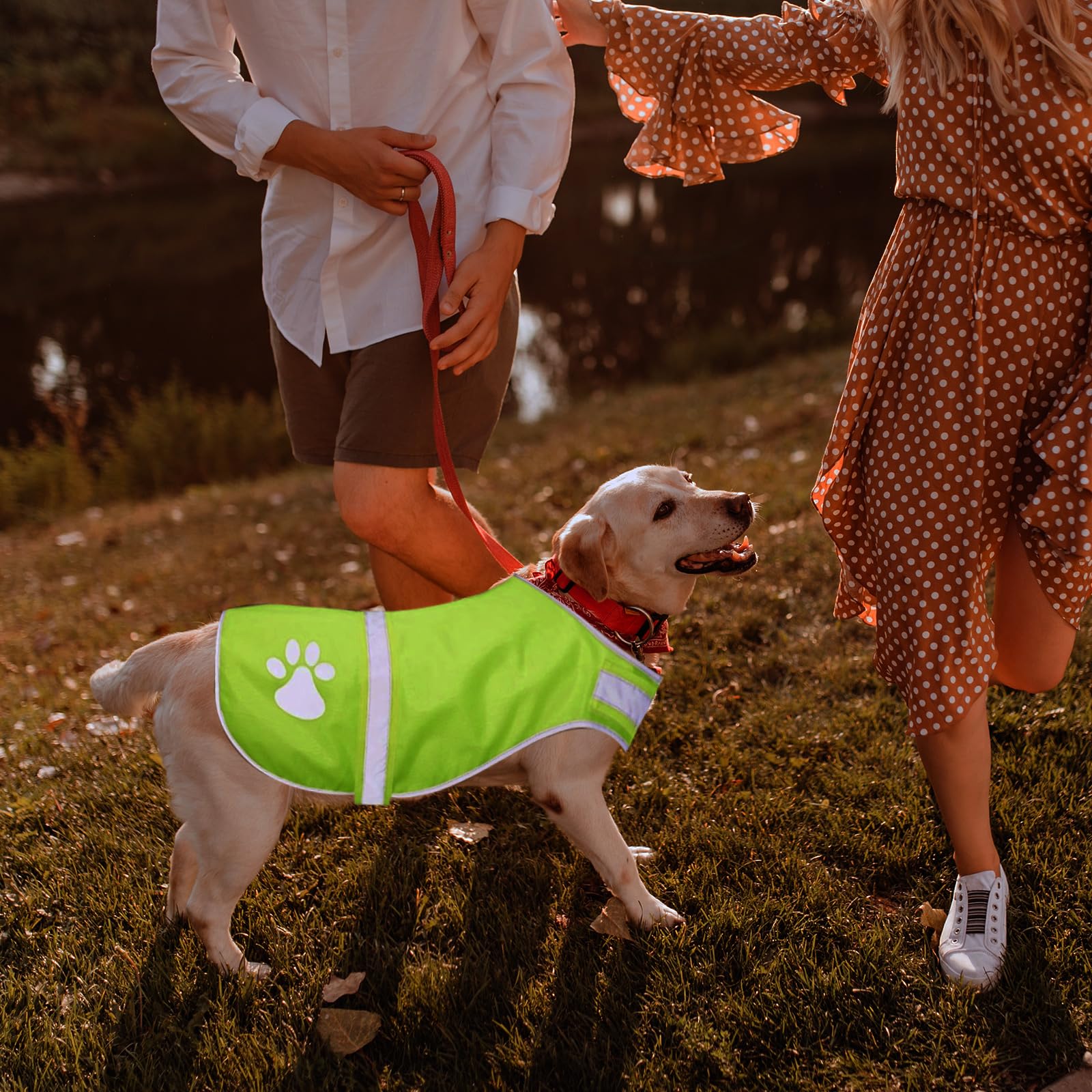 Dog Reflective Vest Fluorescent High Visibility Dog Jacket Adjustable Dog Safety Service Vest Dog Vest Apparel For Outdoor Activ