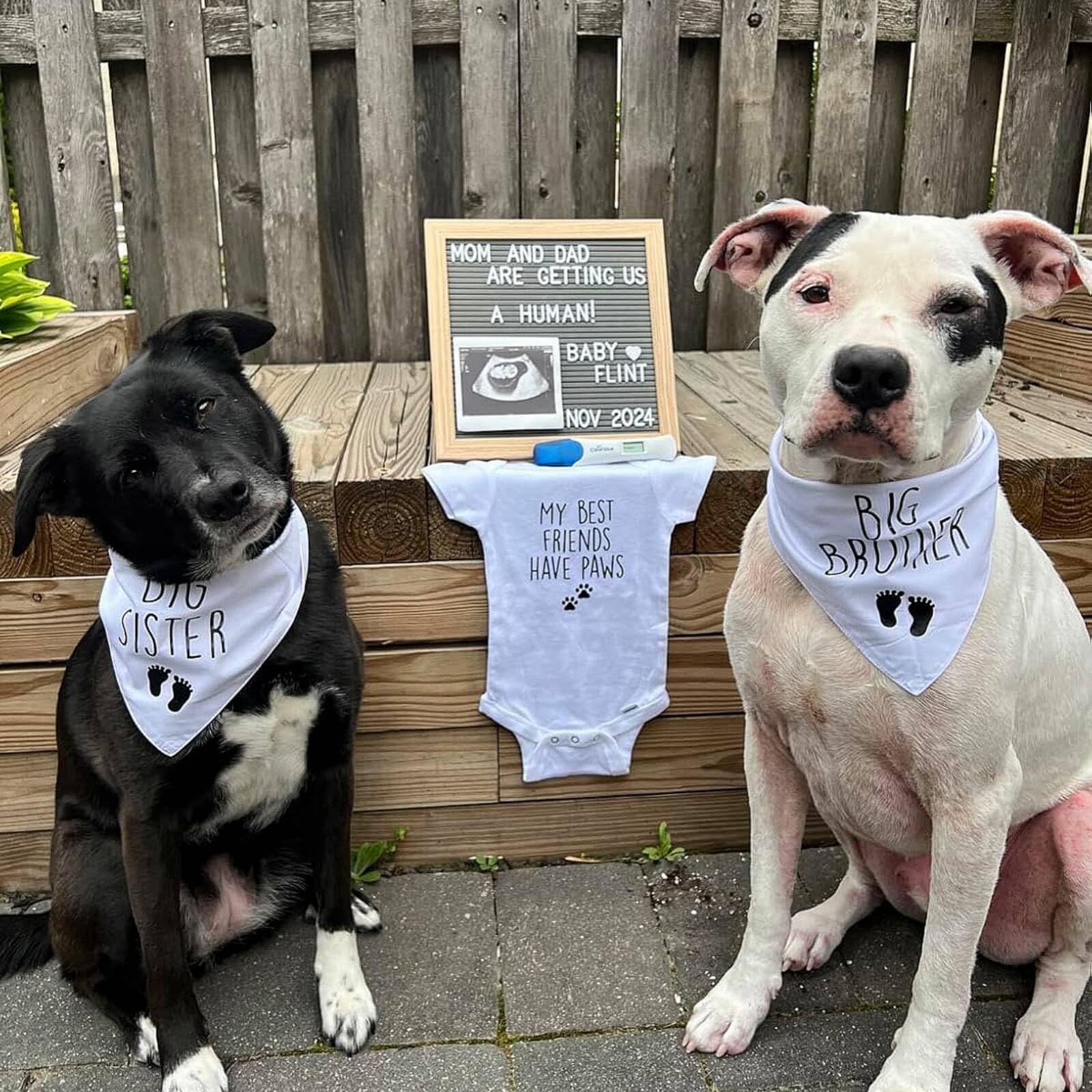 Gofshy Blank Dog Bandanas Small -2Pcs, Diy Solid White Triangle Scarf Premium Cotton Handkerchief Or Bib, Personalized Design Bi
