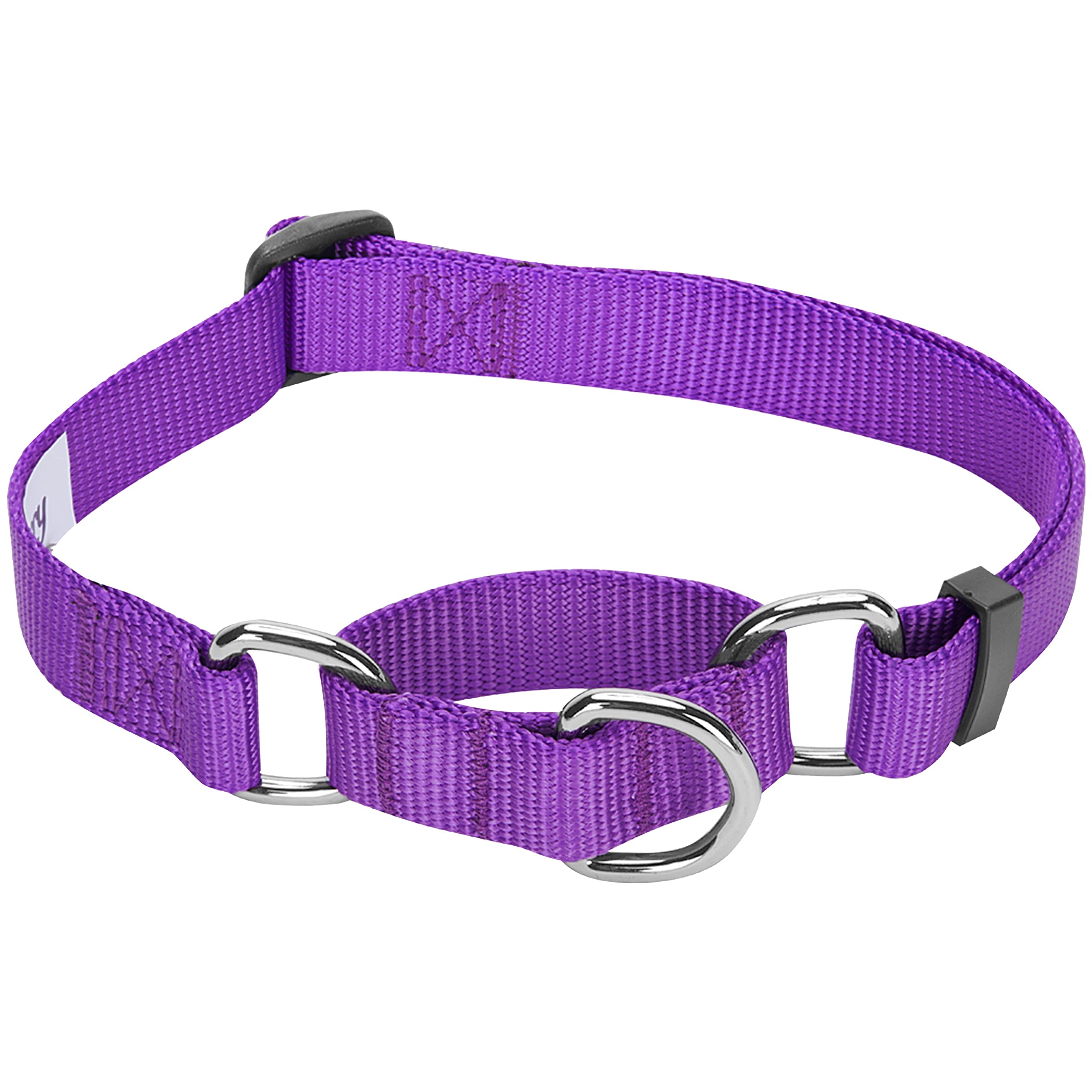 Blueberry Pet Essentials Martingale Safety Training Dog Collar, Dark Orchid, Medium, Heavy Duty Nylon Adjustable Collars For Dogs