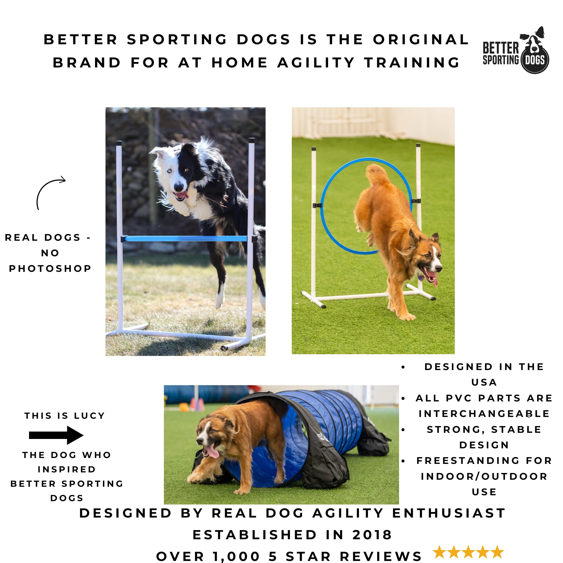 Better Sporting Dogs Agility Course Backyard Set - 7pc Indoor and Outdoor Agility Training Equipment for Dogs - 3 Jumps - 2 Tunn