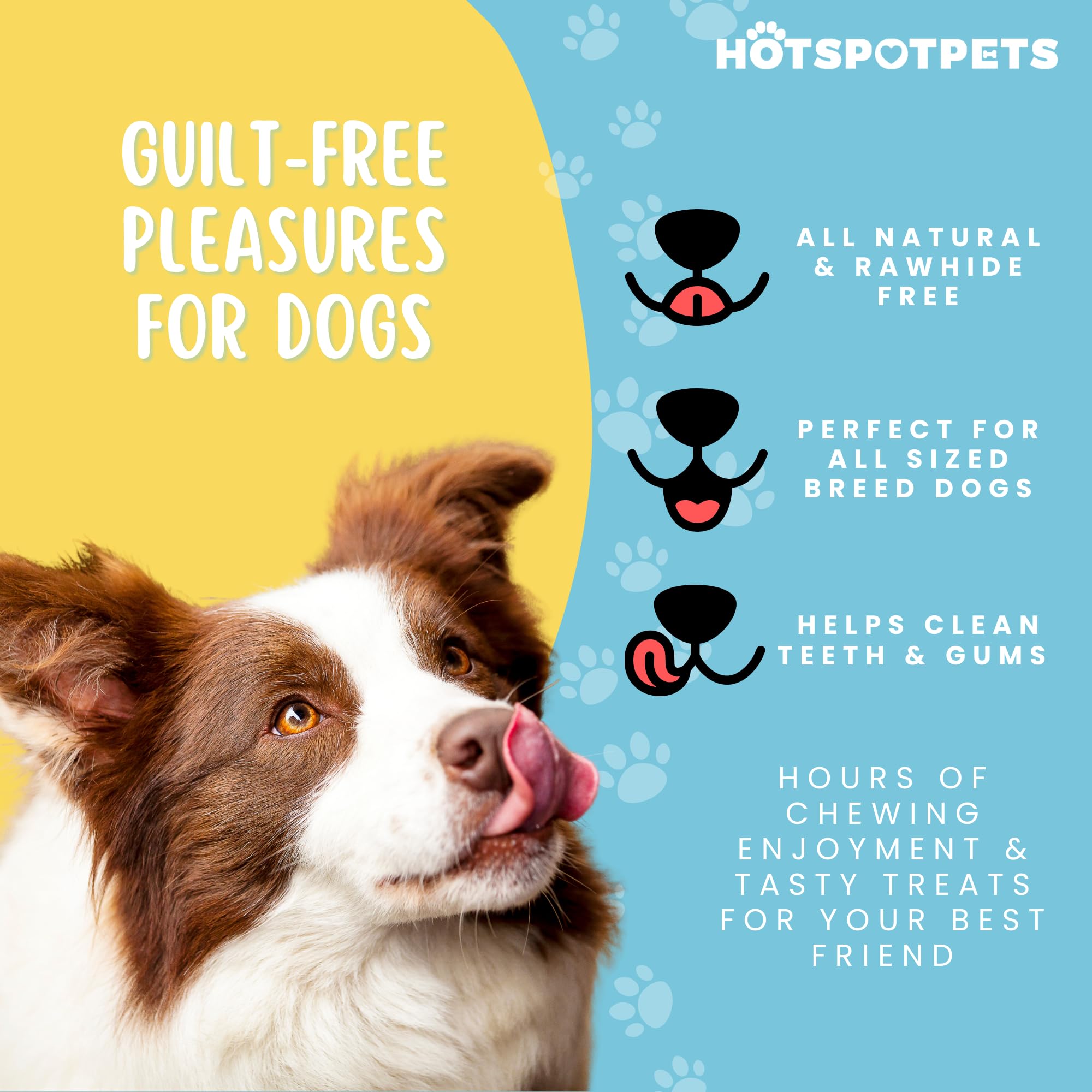 hotspot pets All-Natural Cow Ears Dog Chews - Long-Lasting Single Ingredient Treat for Healthy Teeth & Gums, Perfect for Dogs