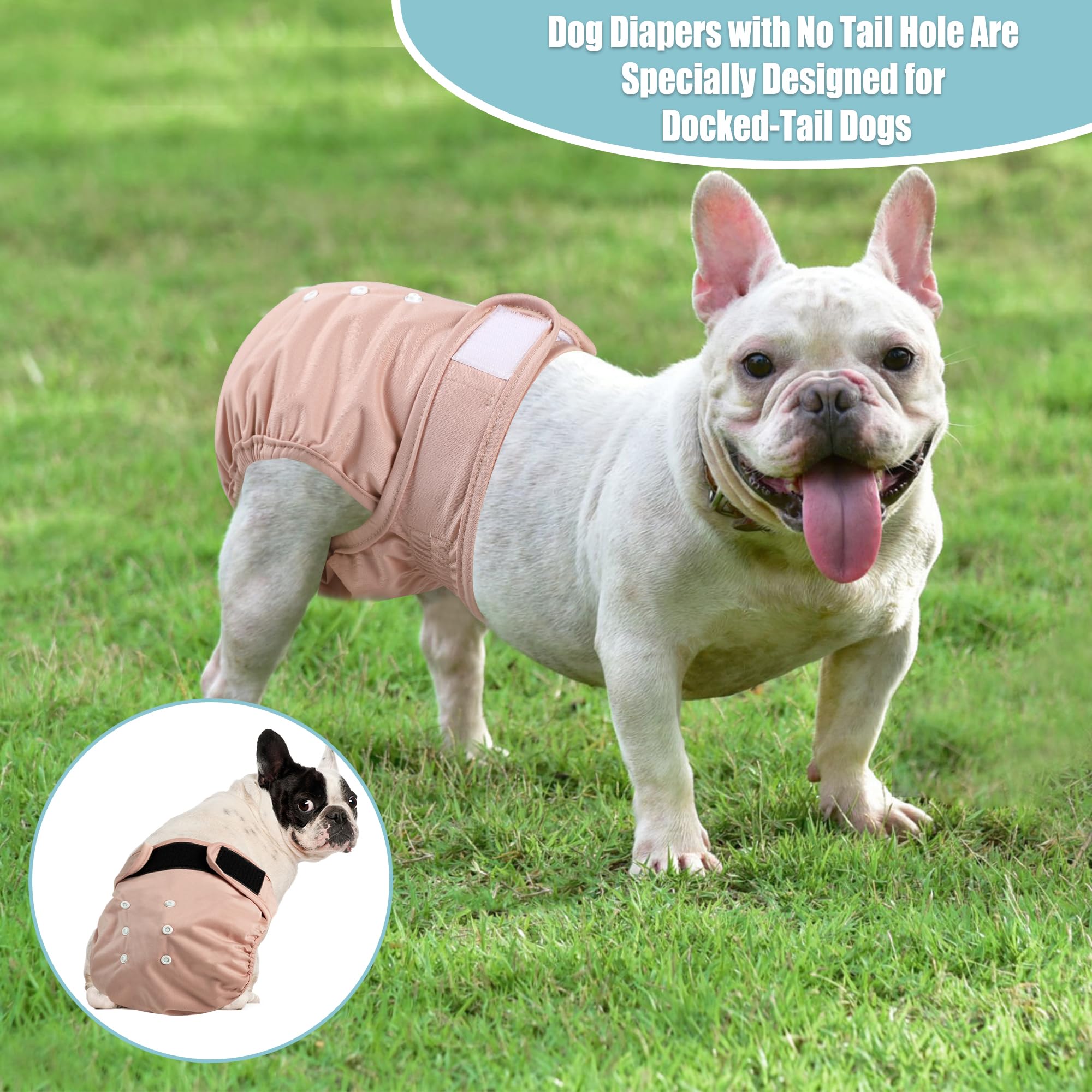Wegreeco Xx-Large Dog Diapers Female No Tail Hole In Morandi, Reusable French Bulldog Diapers Female
