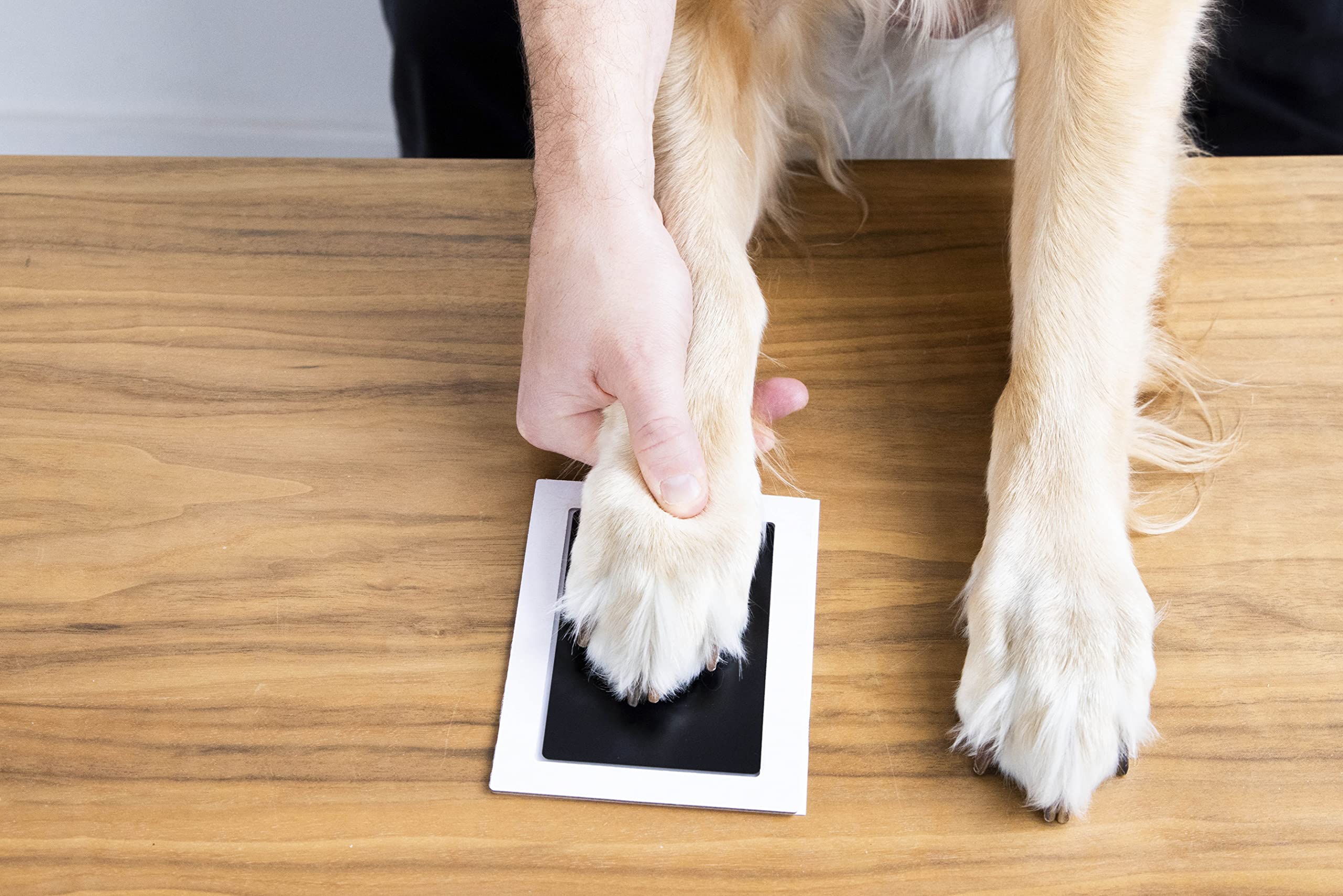 Pearhead Pet Clean-Touch Ink Pad, Medium/Large, Black Ink Pad For Cats Or Dogs, Pet Owner, Pet Owner Must Have Item, Pet Memory Keepsake, For Medium To Large Pets