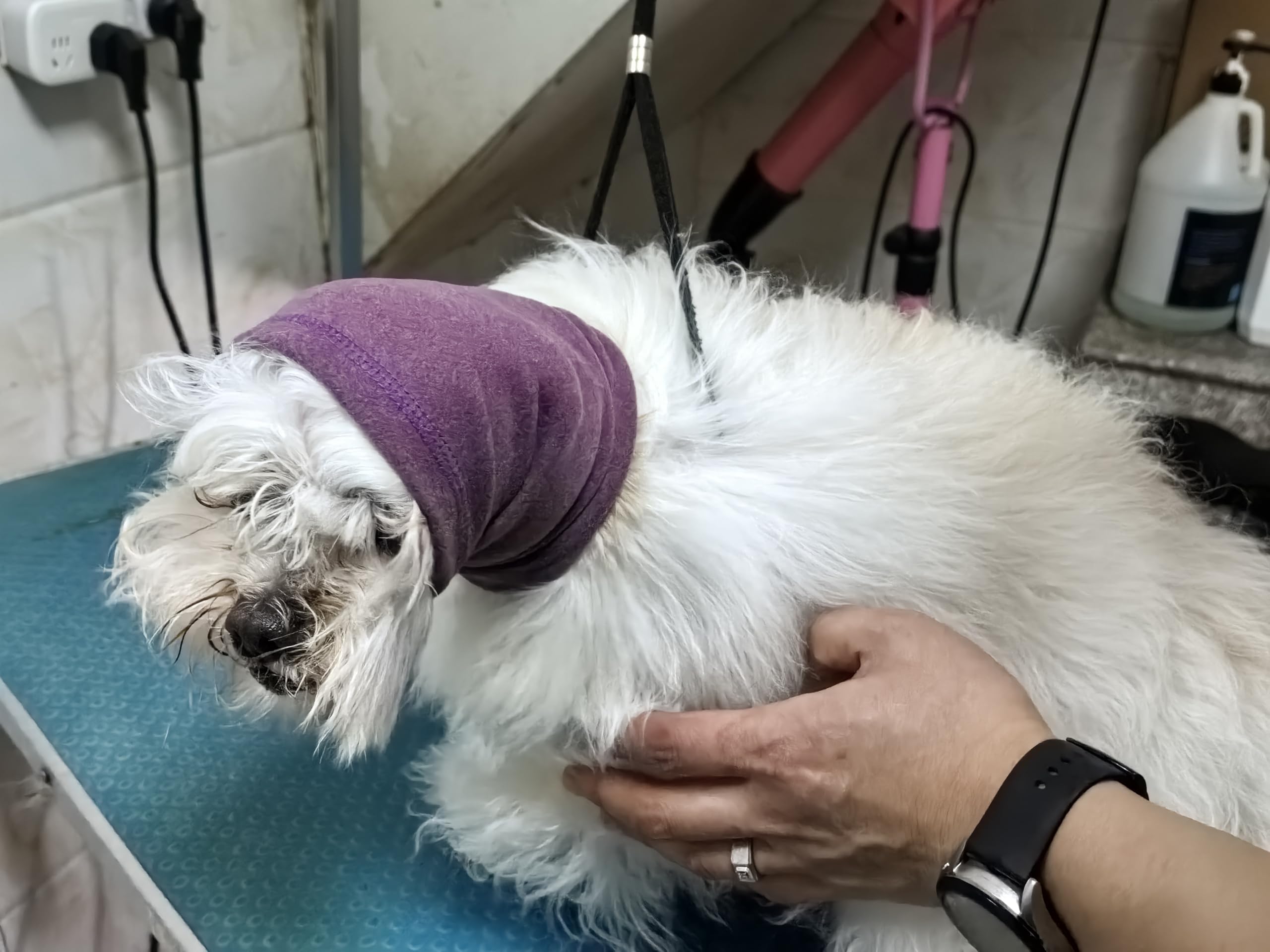 DDFS Dog Head Cover Keep Calm Ear Wrap Neck Muff Wrap Hematoma Dog Ear Cover Pail Lilac+Pink M