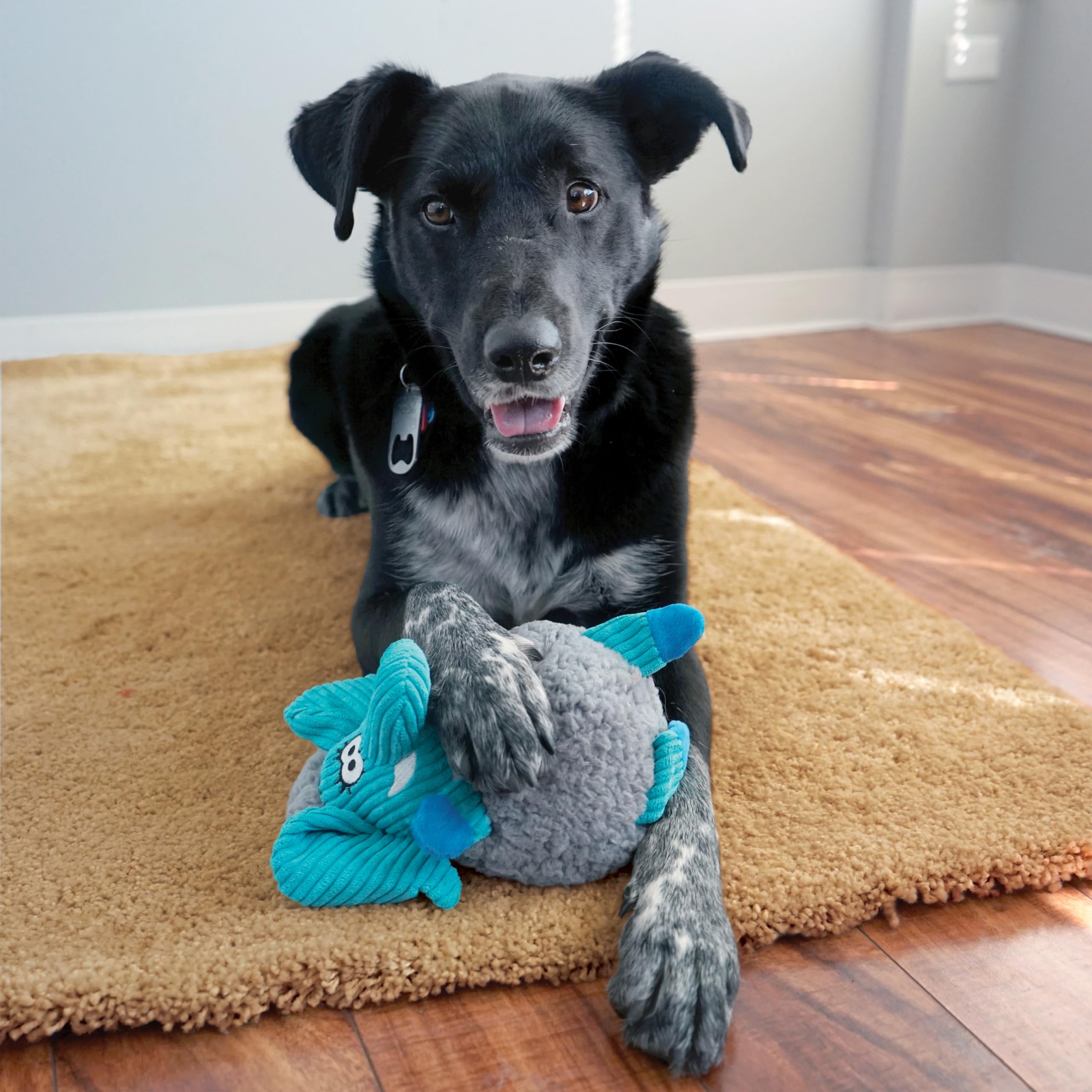 Kong Sherps Floofs Moose Md