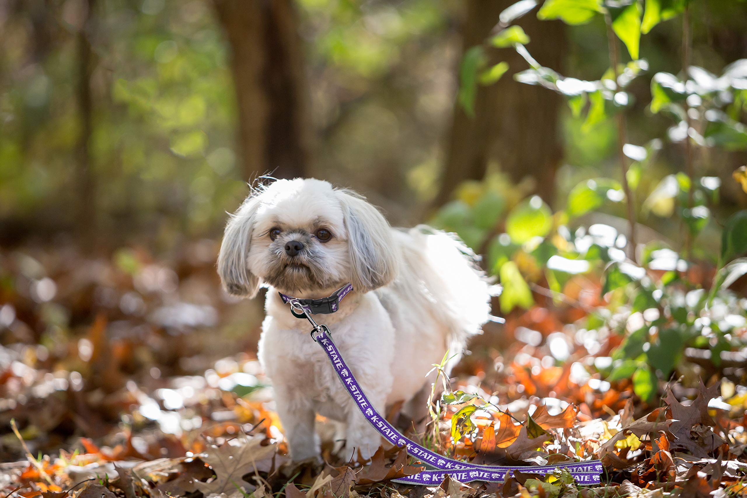 NCAA PET Leash, Large, Kansas State Wildcats, Dog Leash, Shiny & Colorful Leash for Dogs & Cats Licensed by The NCAA