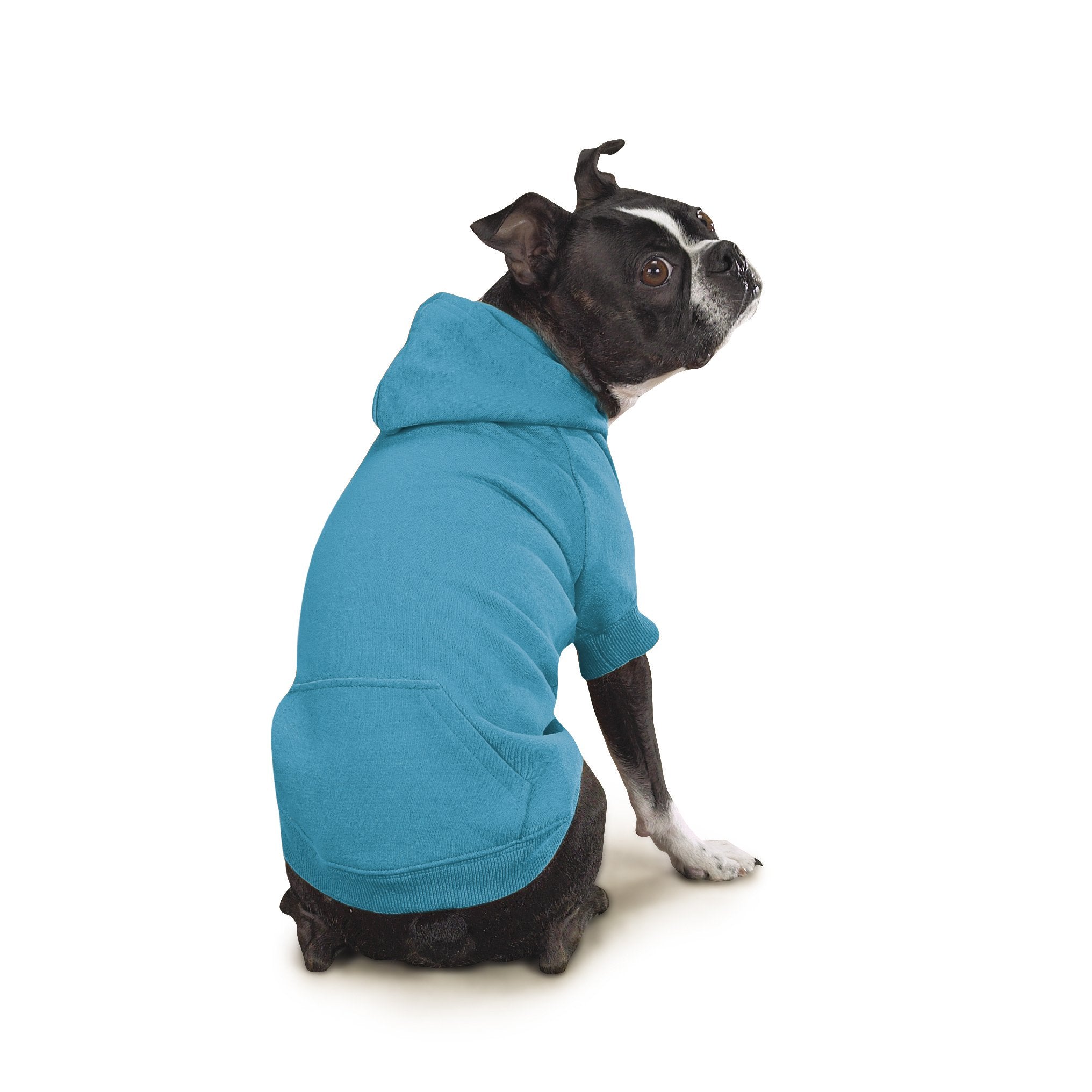 Zack & Zoey Basic Hoodie for Dogs, Medium 16", Bluebird, 65% Polyester, 35% Cotton, Model US2101 16 16