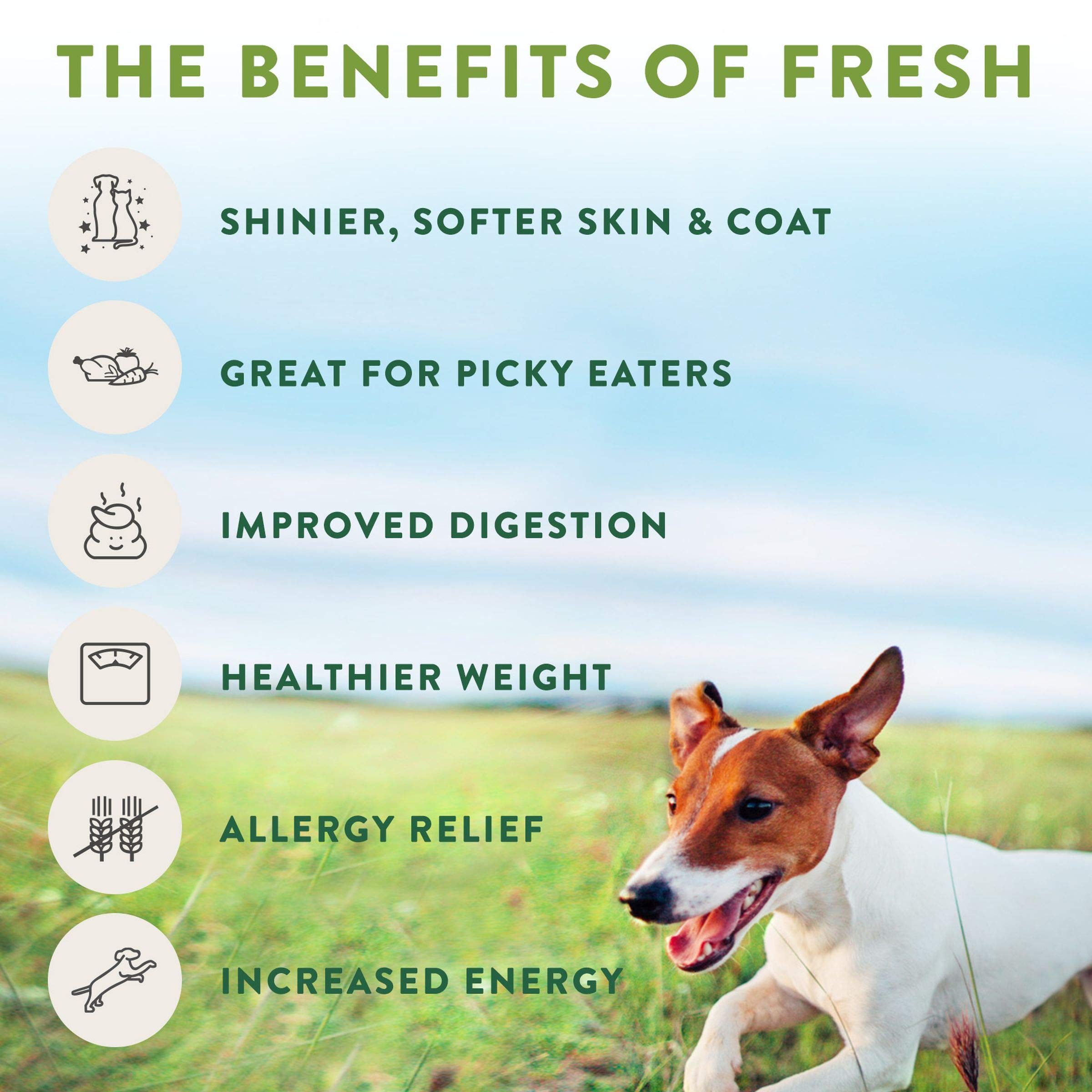 Select Dog Joy Chicken Treats, 8 Oz