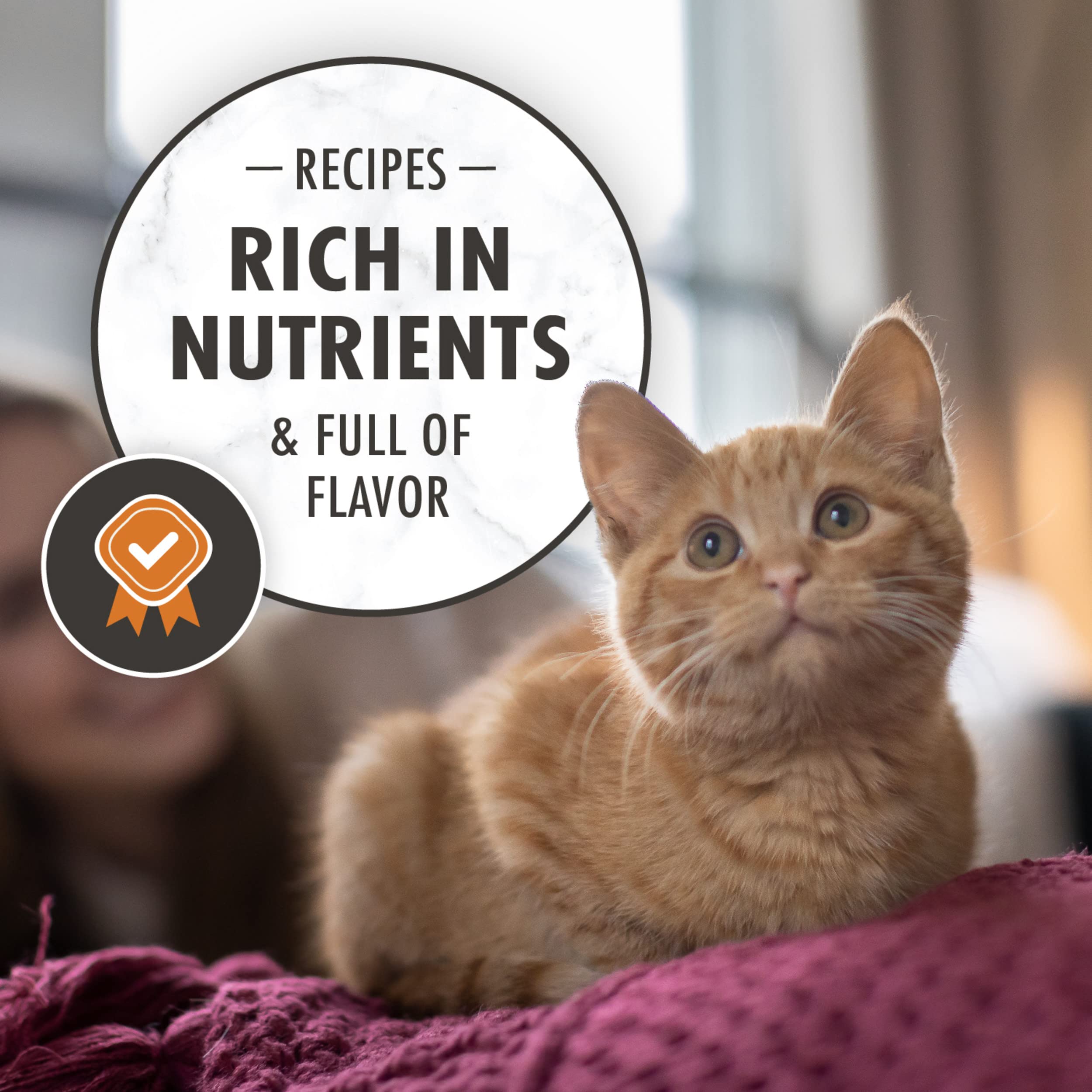 Nutro Wholesome Essentials Natural Dry Kitten Food Chicken & Brown Rice Recipe, 3 lb. Bag