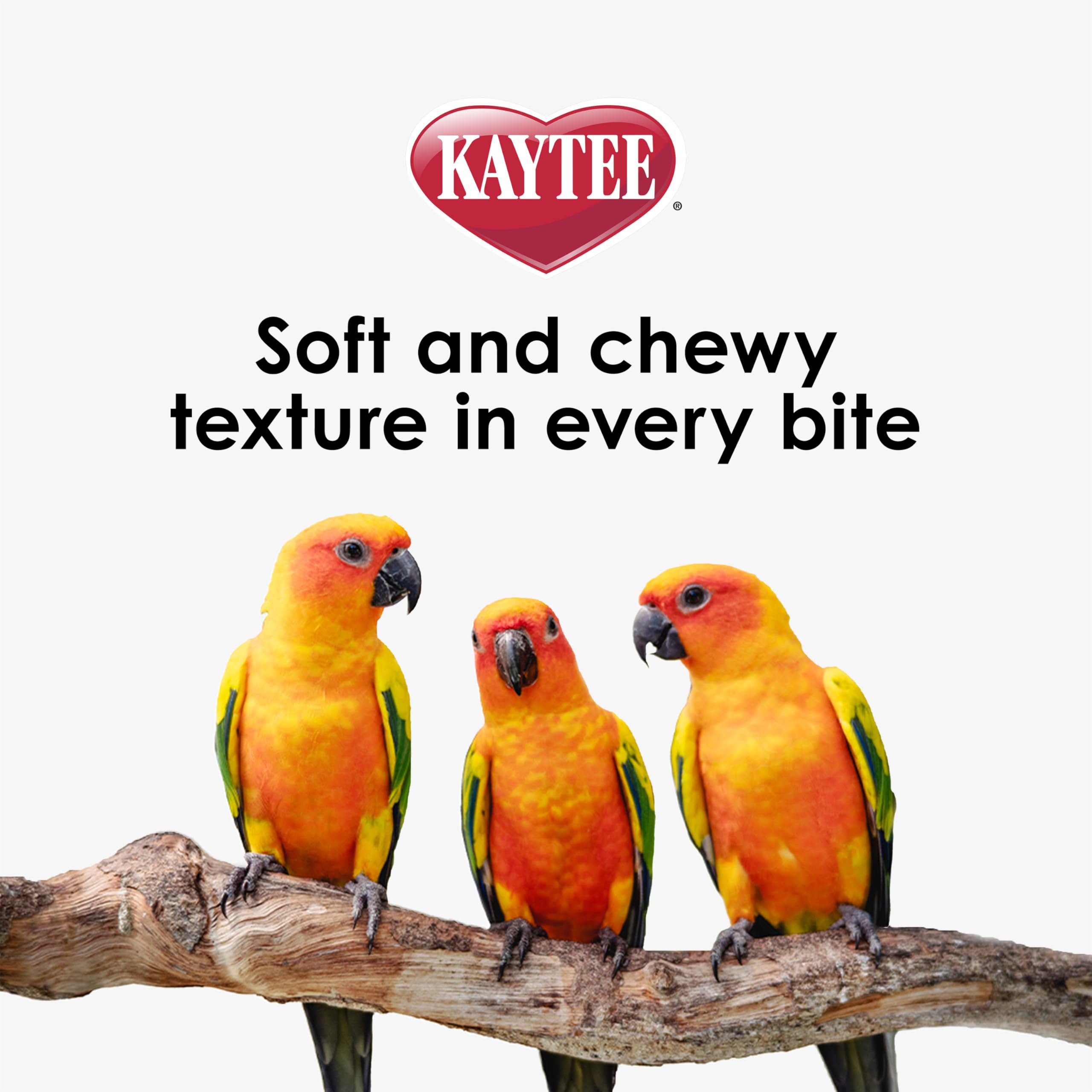 Kaytee NutriSoft Conure and Parrot Food - 3 lb