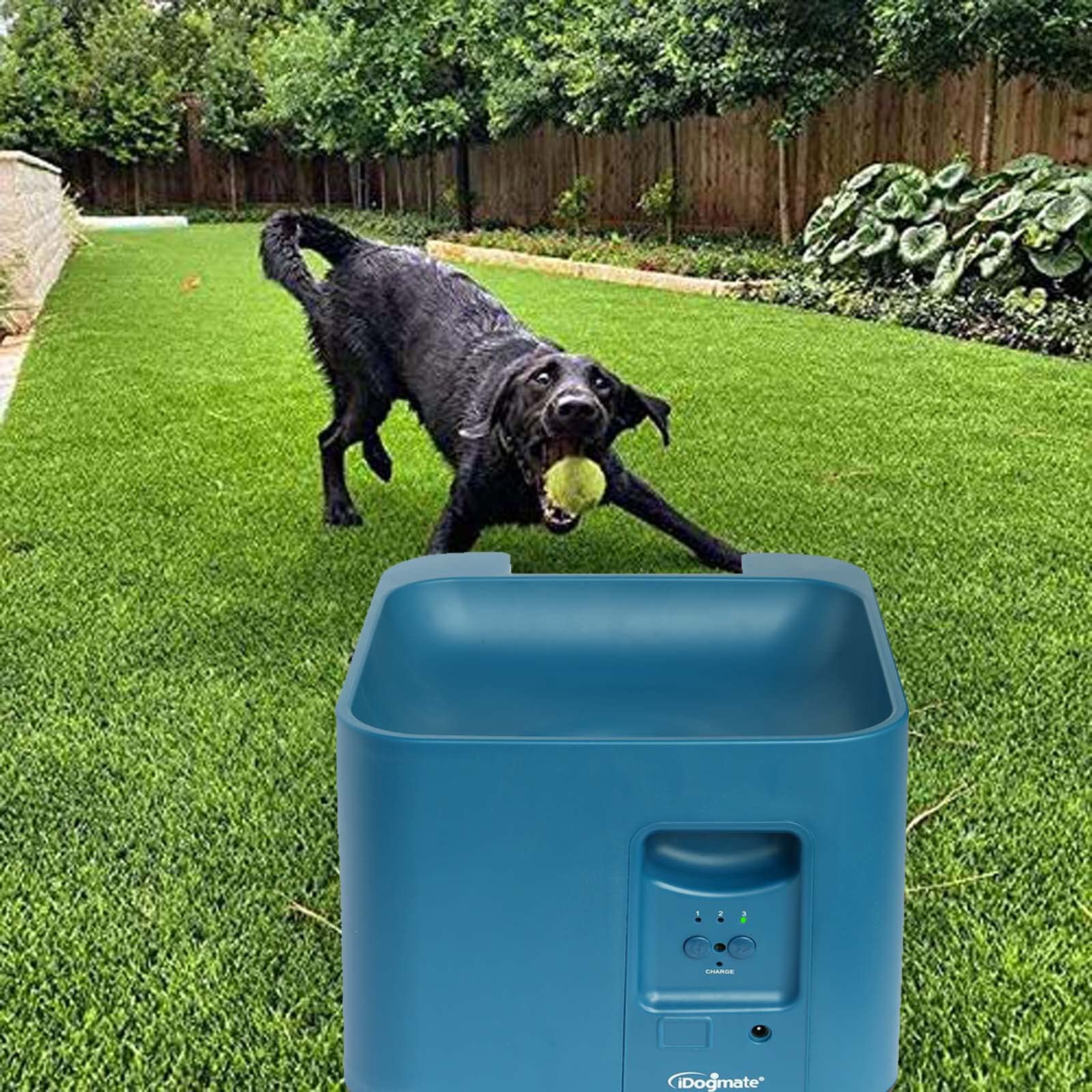 IDOGMATE Automatic Dog Ball Launcher,Tennis Ball Launchers for Most Sized Dogs who Could Carry 2.5'' Balls,Interactive Toys Dogs
