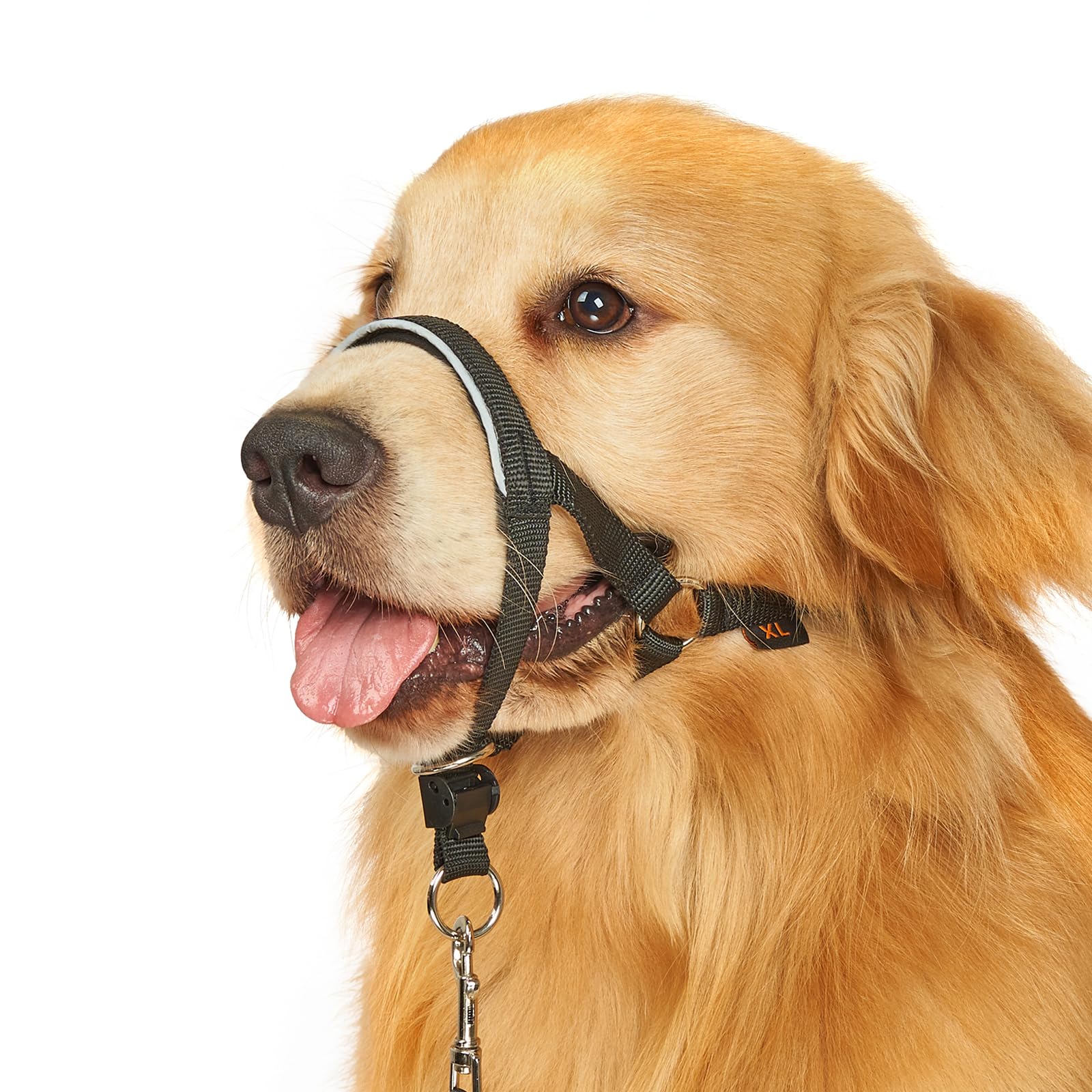 BARKLESS Head Collar for Dogs, No Pull Head Halter for Large Medium Small Dogs, Nose Leash Stops Heavy Pulling, Muzzle Leash wit