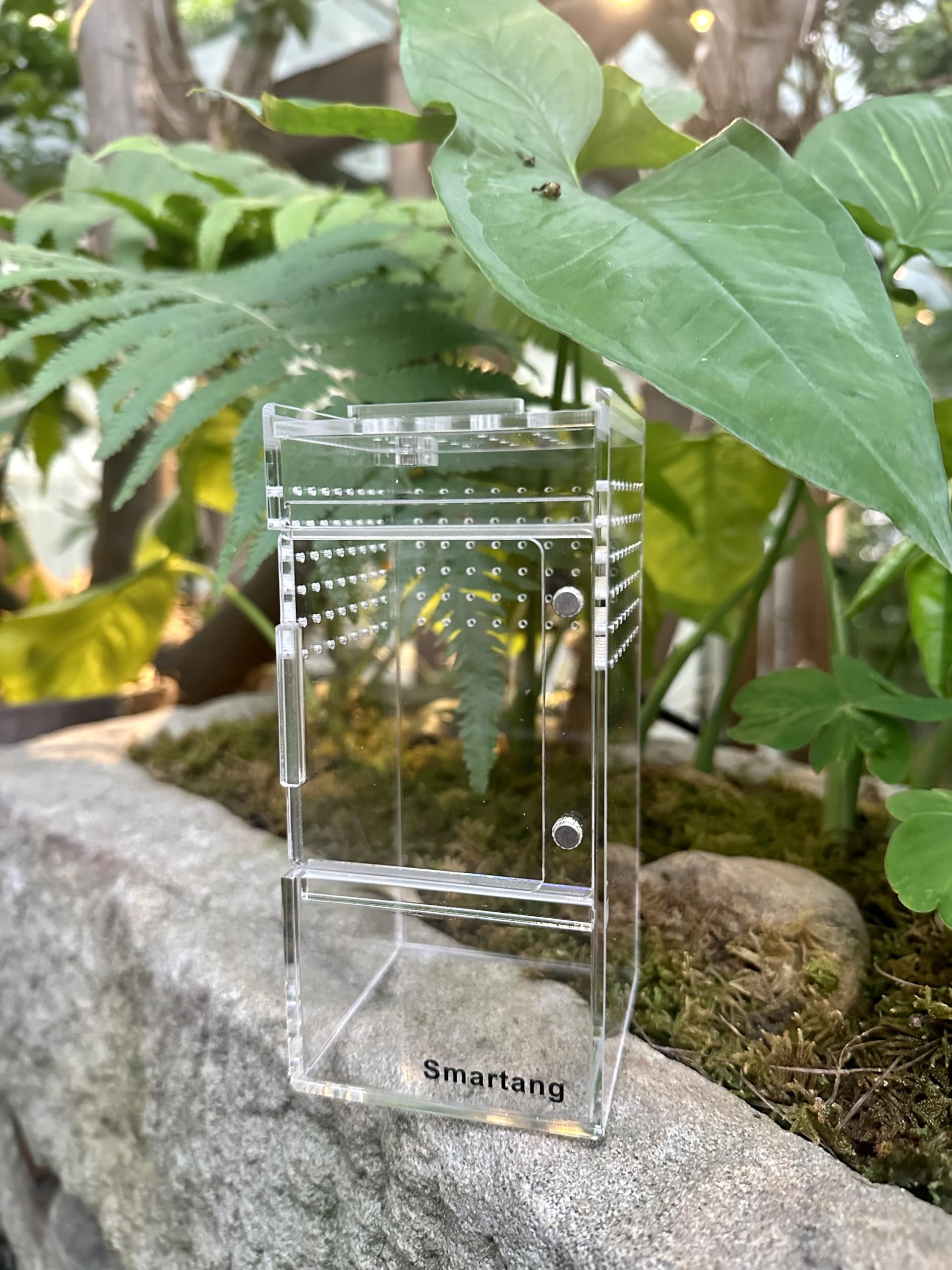 Jumping Spider Enclosure,Arboreal Tarantula Enclosure,Spider Habitat,Praying Mantis Habitat,Frog Enclosure,Insect Terrarium Bug