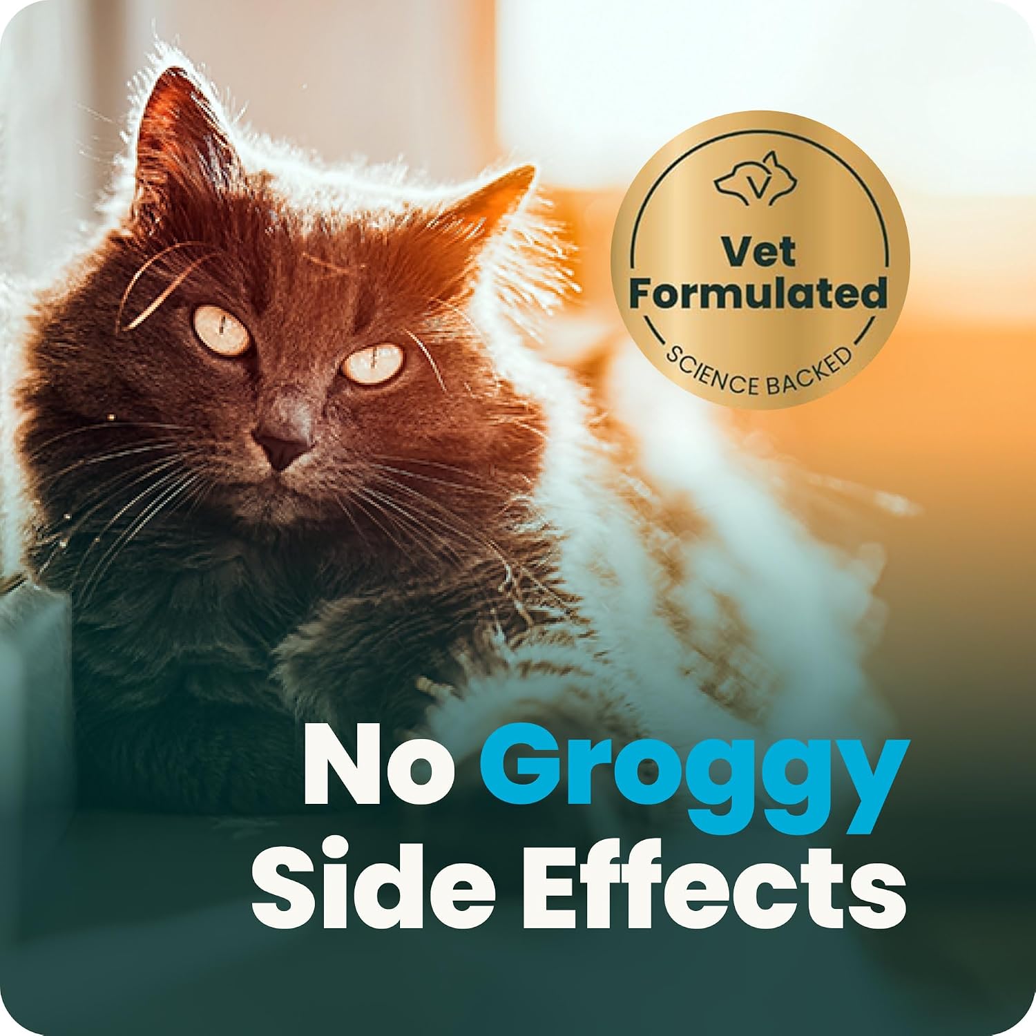 VetriScience Composure, Calming Formula for Cats, 30 Bite-Sized Chews
