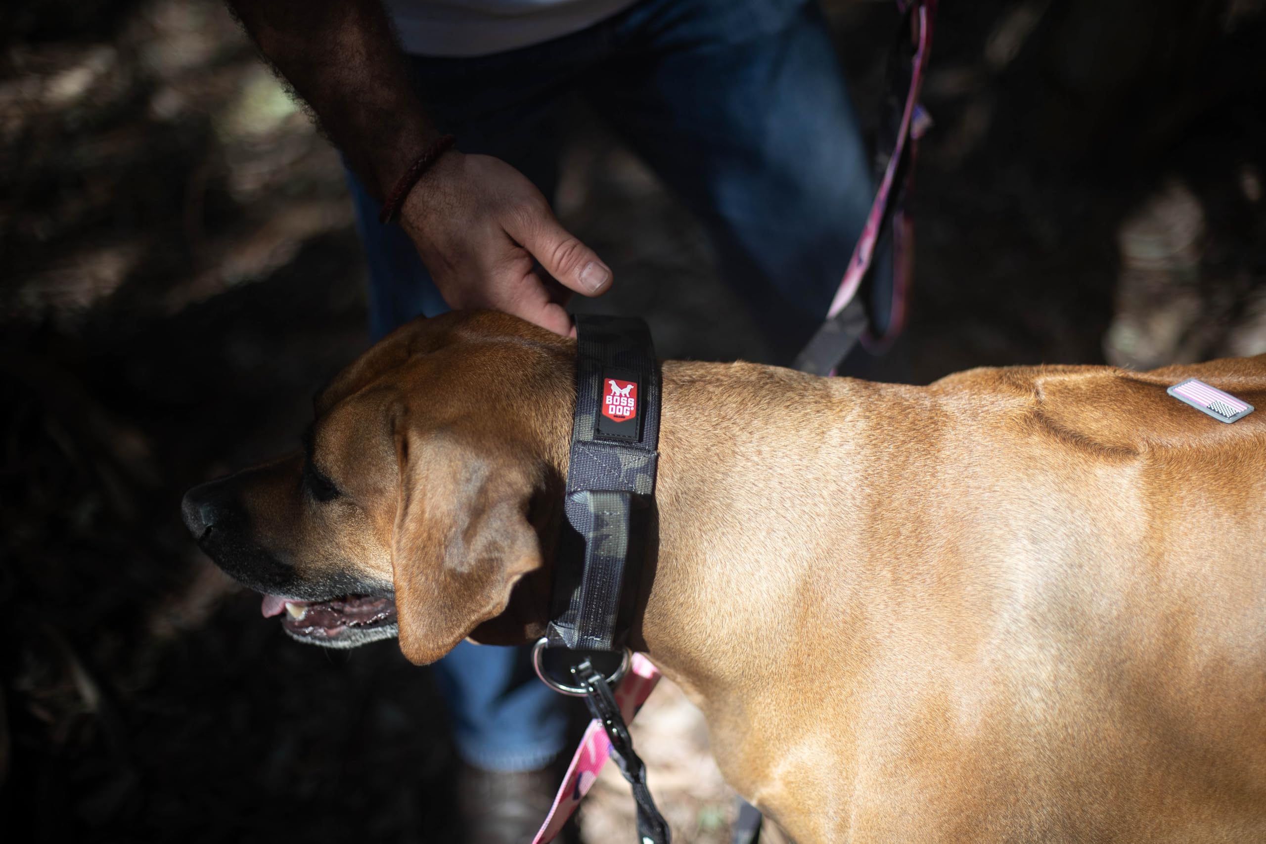 Boss Dog Tactical Collar, Black Camo, X-Large