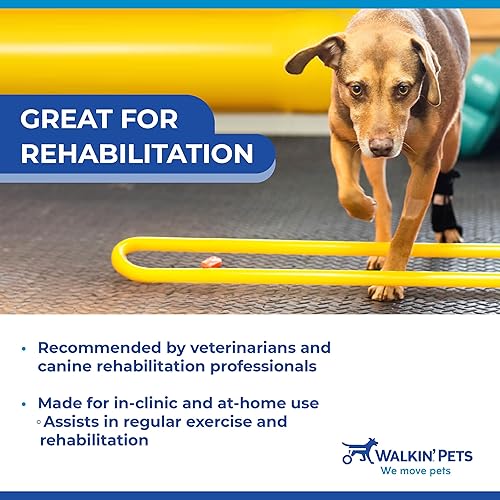 Walkin Rear No-Knuckling Training Sock  Helps Dogs Pick up Their Feet When Knuckling Under or Dragging Their Rear Paws