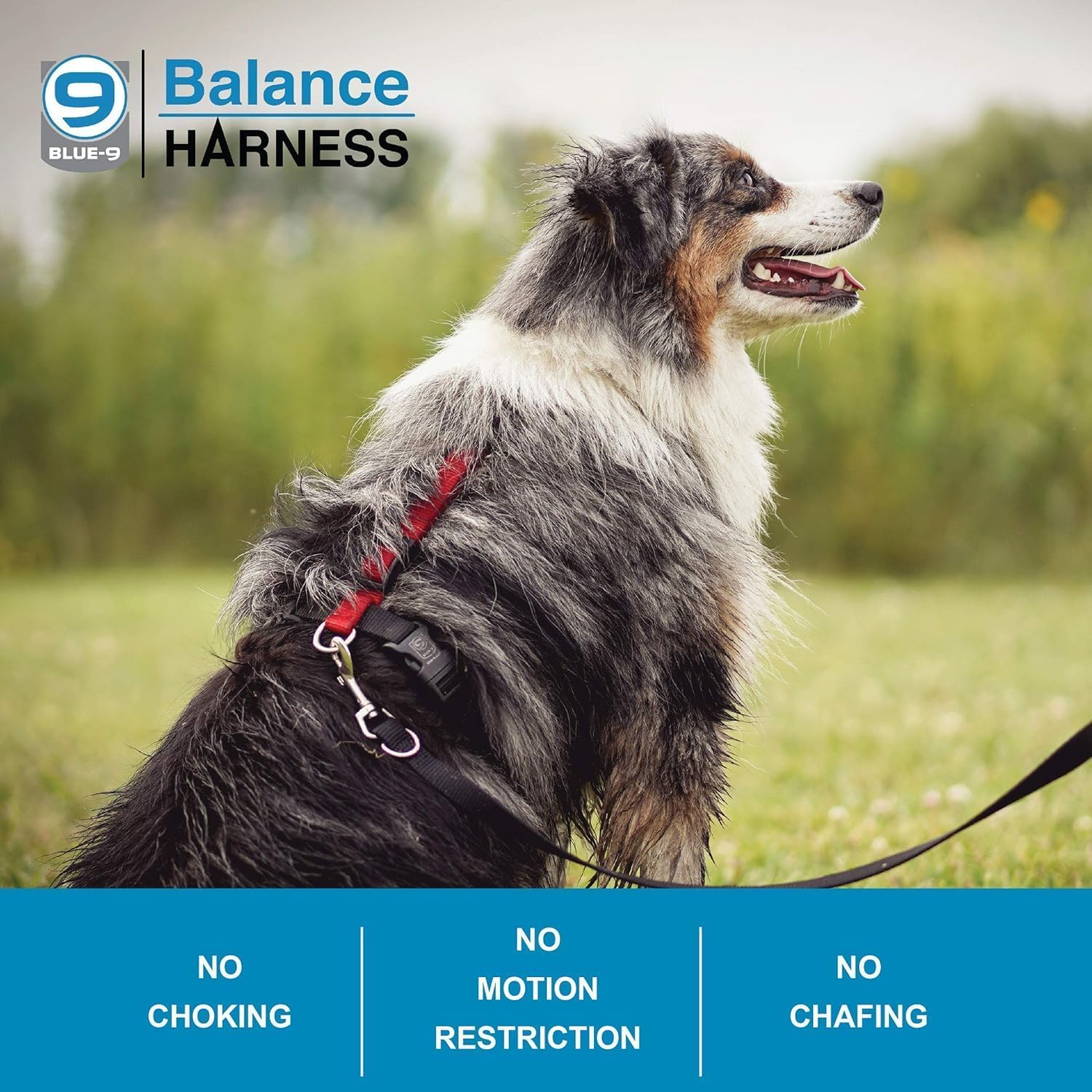 Blue-9 Buckle-Neck Balance Harness, Fully Customizable Fit No-Pull Harness, Ideal For Dog Training And Obedience, Made In The Usa, Hot Pink, Medium