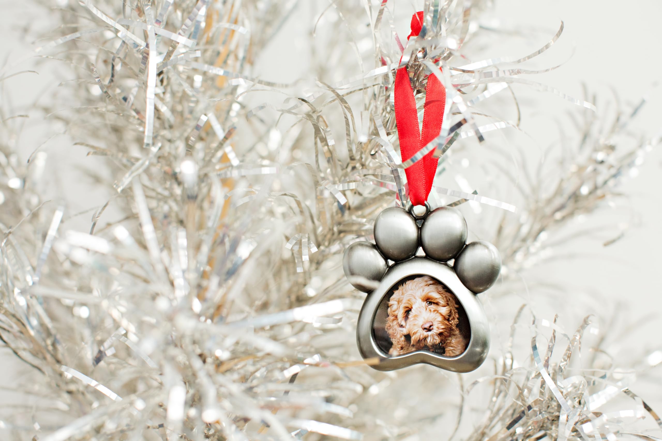 Pearhead Christmas Pet Pawprint Photo Ornament, Dog Or Cat Christmas Tree Ornament, Pet Memorial Keepsake Picture Frame, Classic Holiday Home Decor, Pet Owner Gift Ideas, Silver Metal