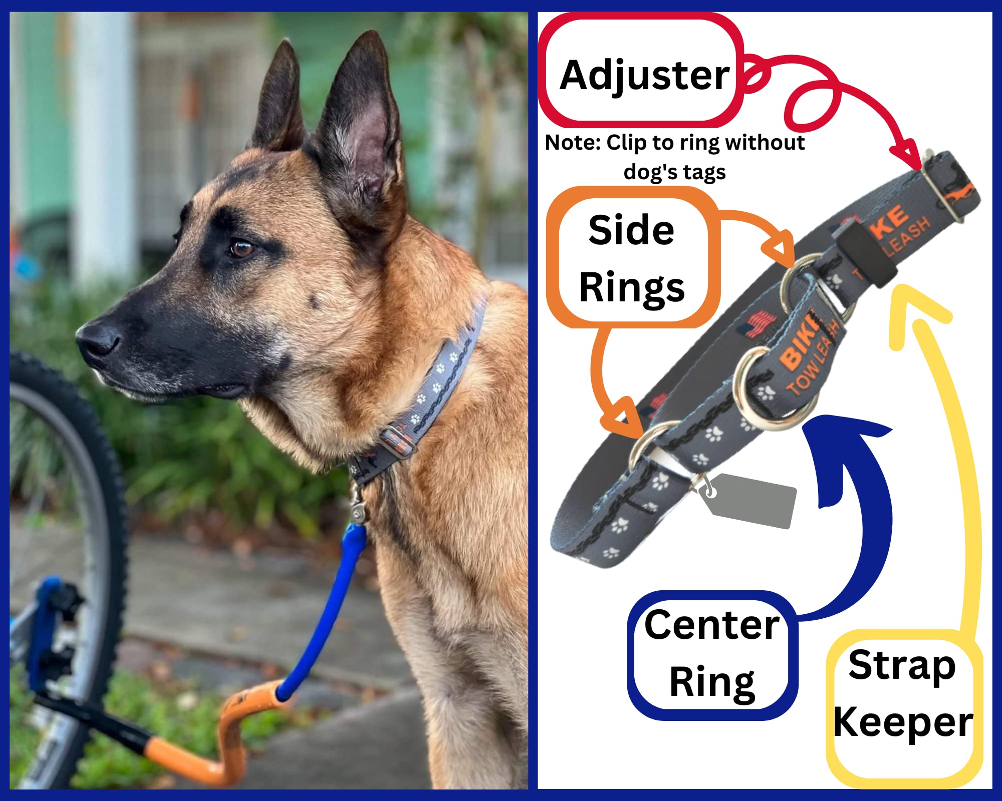 Dog Biking and Walking Collar