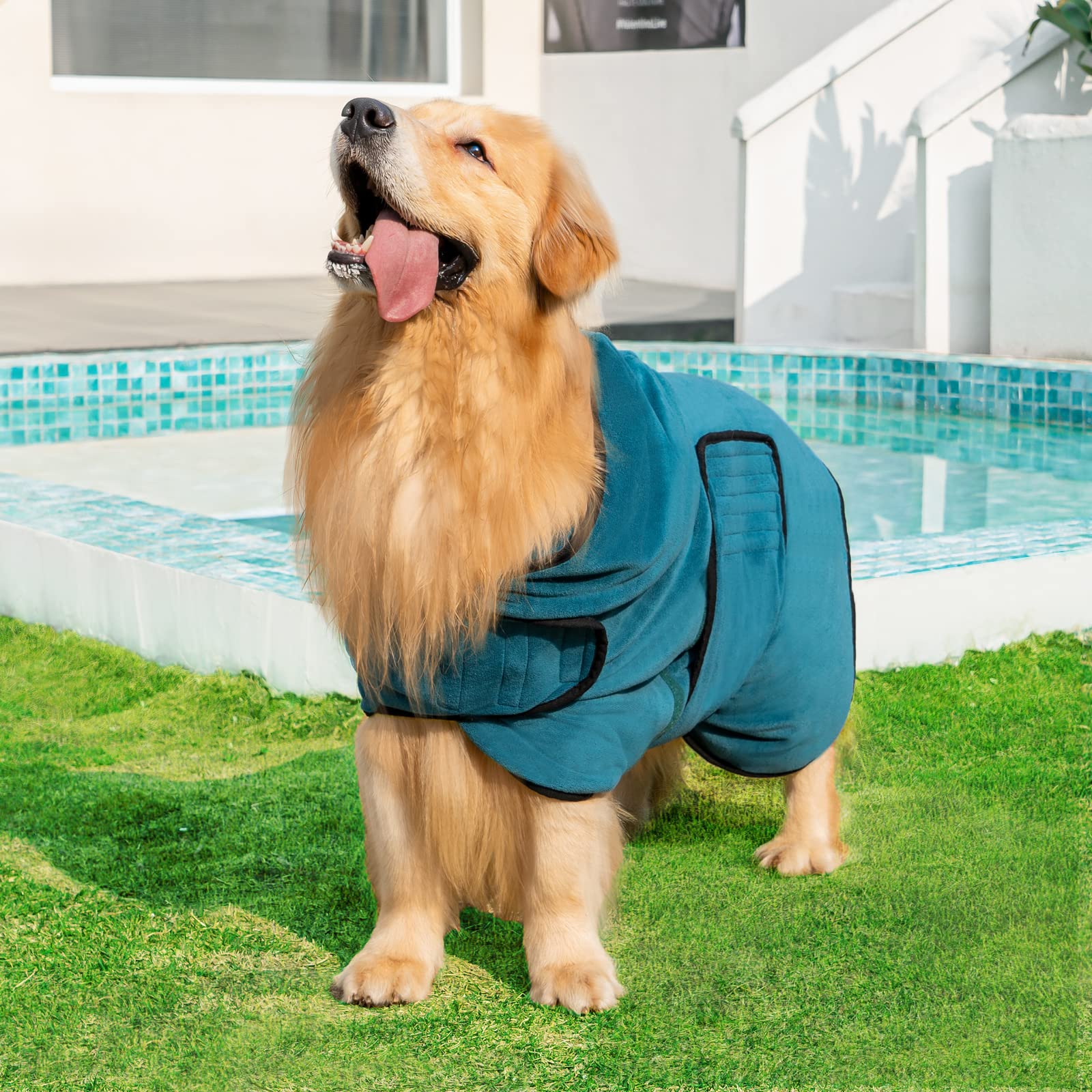 Avont Dog Bathrobe - Super Absorbent Pet Drying Towel Bath Robes After Bath Shower Swim Wet Walk For Puppies -Blue(L)