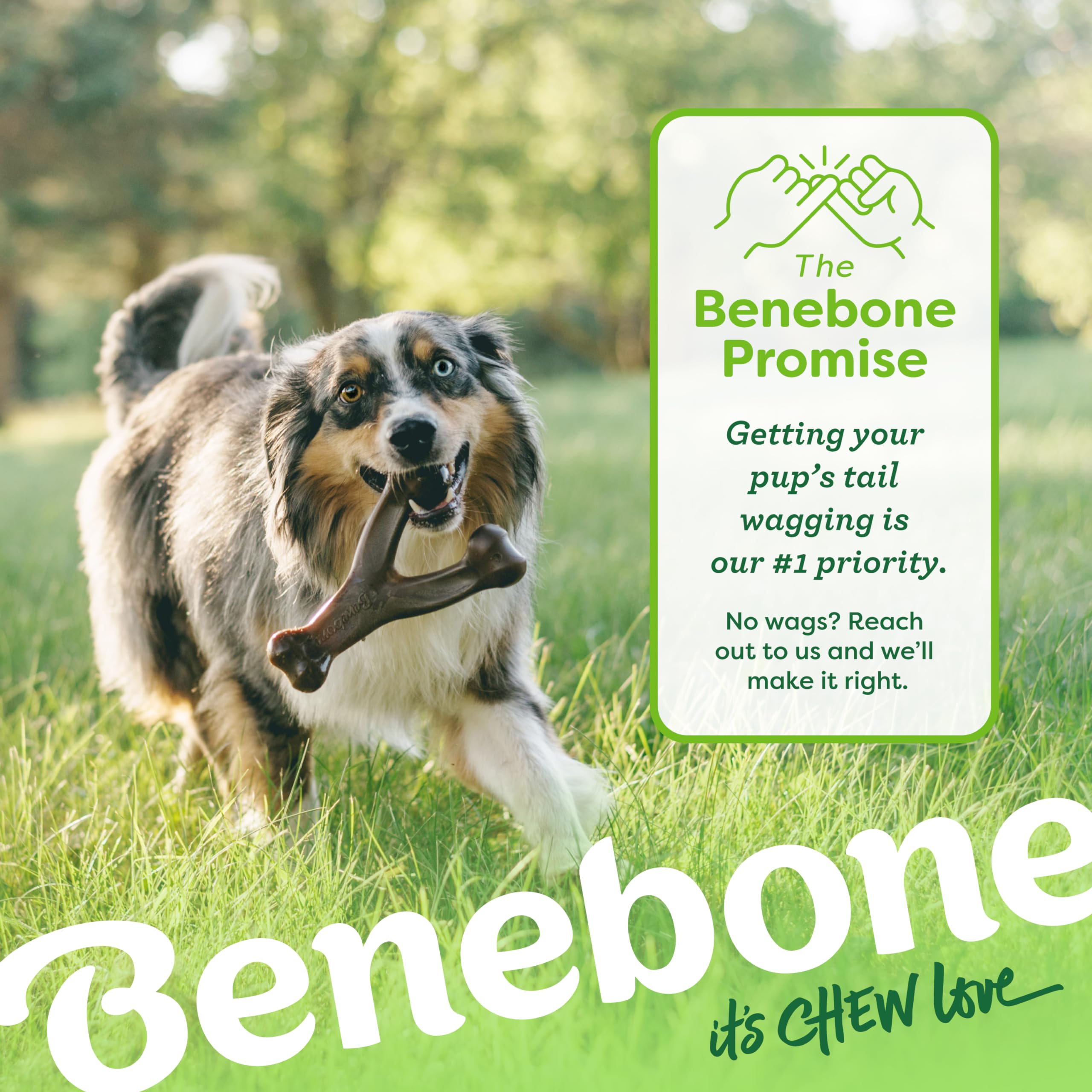 Benebone Wishbone Durable Dog Chew Toy For Aggressive Chewers, Real Chicken, Made In Usa, Small, For Any Breed