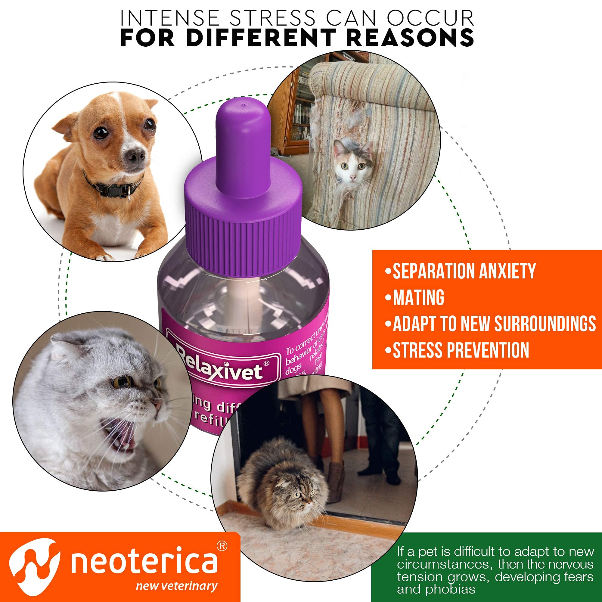 Beloved Pets Calming Cat Diffuser Refill - Anti-Anxiety Pheromones, 2 Refills (Diffuser Not Included) for Stress Relief and Behavior Control