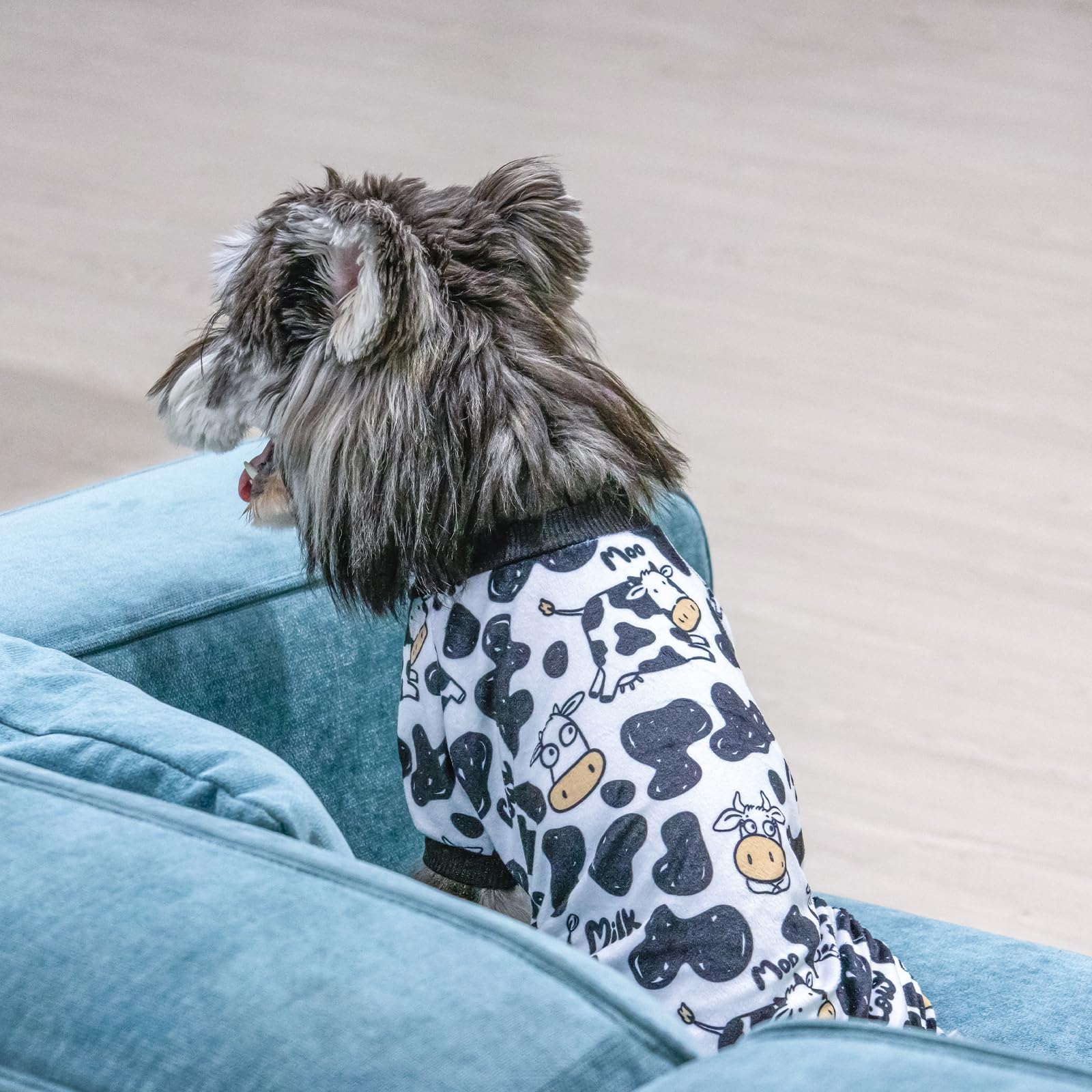 Cutebone Dog Halloween Pajamas Puppy Onesies Christmas Small Dogs Soft Pjs Coat Cat Apparel Comfy Pet Clothes Outfit Doggie Bodysuit P281L