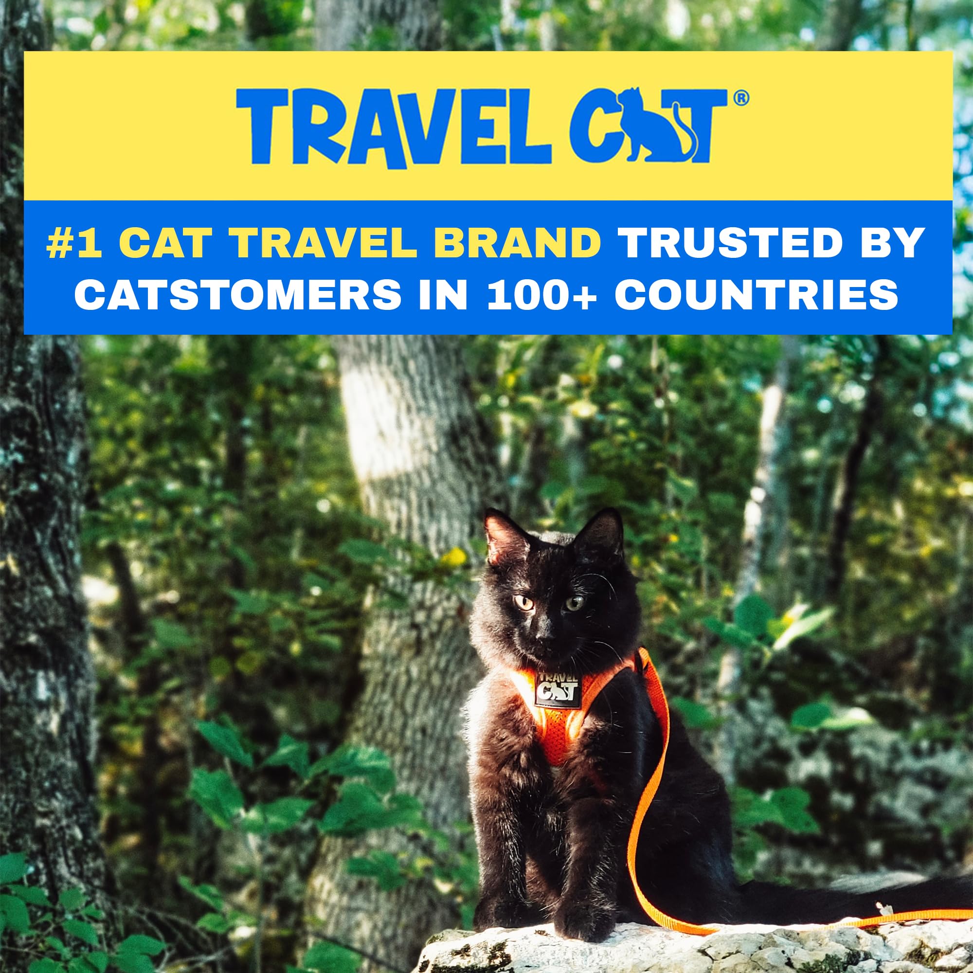 Travel Cat Harness And Leash Set - Adjustable Fit Mesh Cat Harness And Reflective Strap - Comfort Escape Proof Harness For Cats, Kitten For Outdoor Walking, Hiking (Medium, Orange)