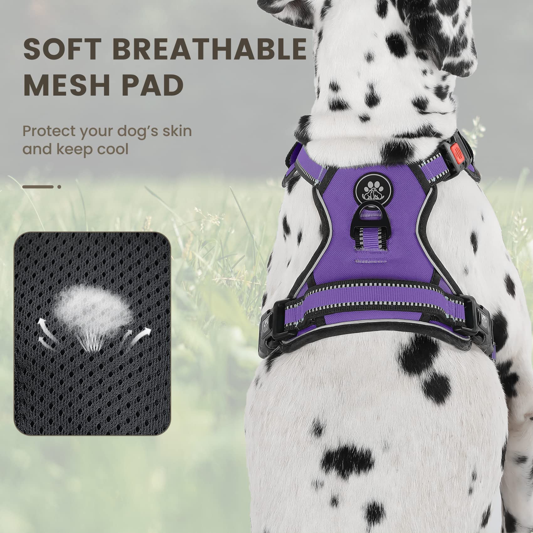 Furryfection No Pull Dog Harness, Reflective Vest Harness With Leash No Choke Soft Padded Dog Vest, Adjustable Front Lead Dog Harnesses With Dog Seat Belt For Small Medium Large Dogs, Purple, S
