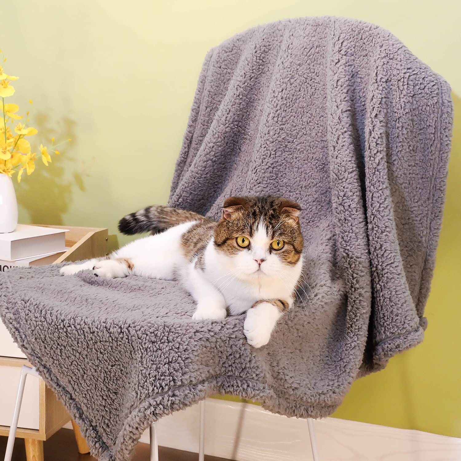 Xinsource 2 Pack Dog Blanket For Medium Size Dogs & Cats Soft Sherpa Fleece Pet Blanket Throw For Sofa, Couch Thick Durable Pet