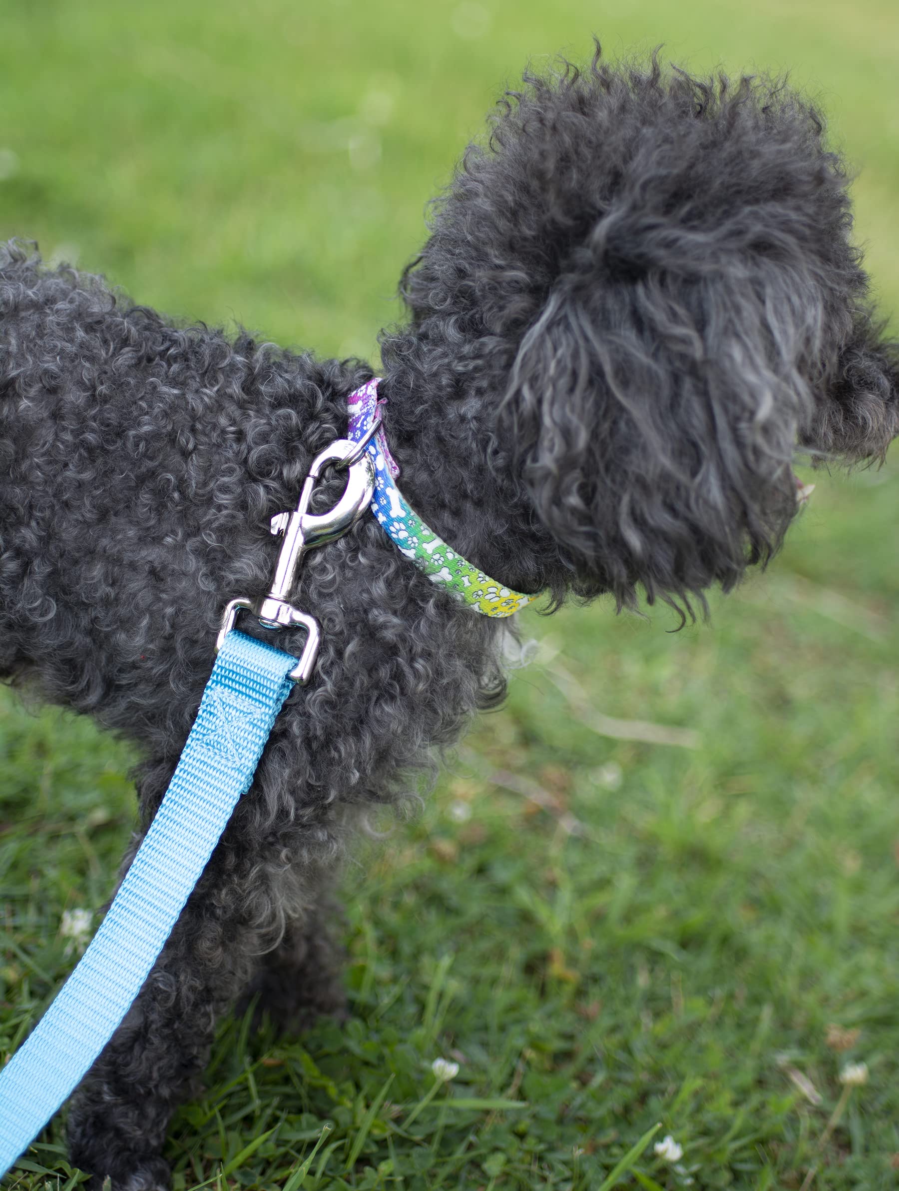 Country Brook Petz - Trippy Doggo Martingale Dog Collar - Groovy Collection Featuring Far Out Designs (1 Inch, Extra Large)