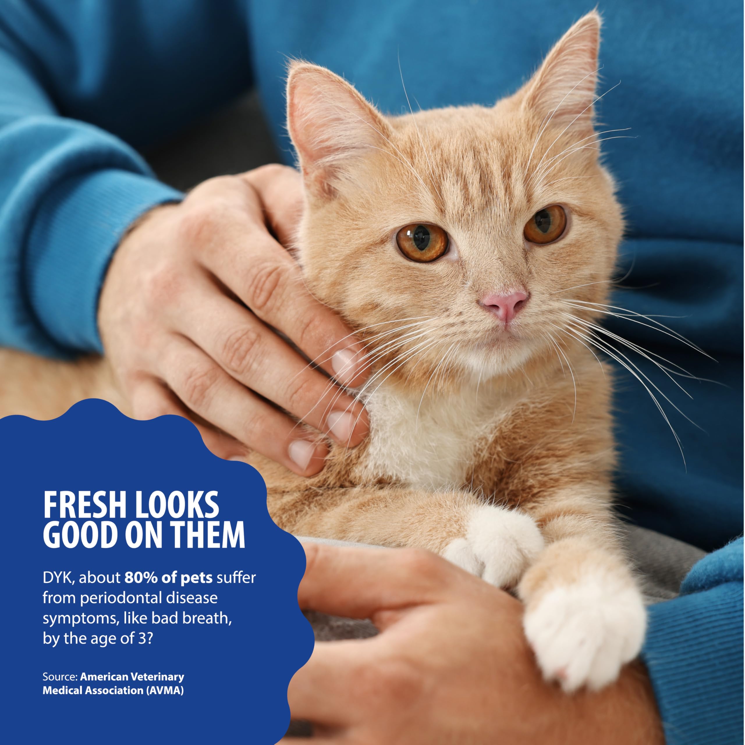 Dental Fresh Cat Water Additive, Tuna Flavor Dental Care - Easy Oral Care, Cleaner Teeth, Fresh Breath and Tartar Support for Ca