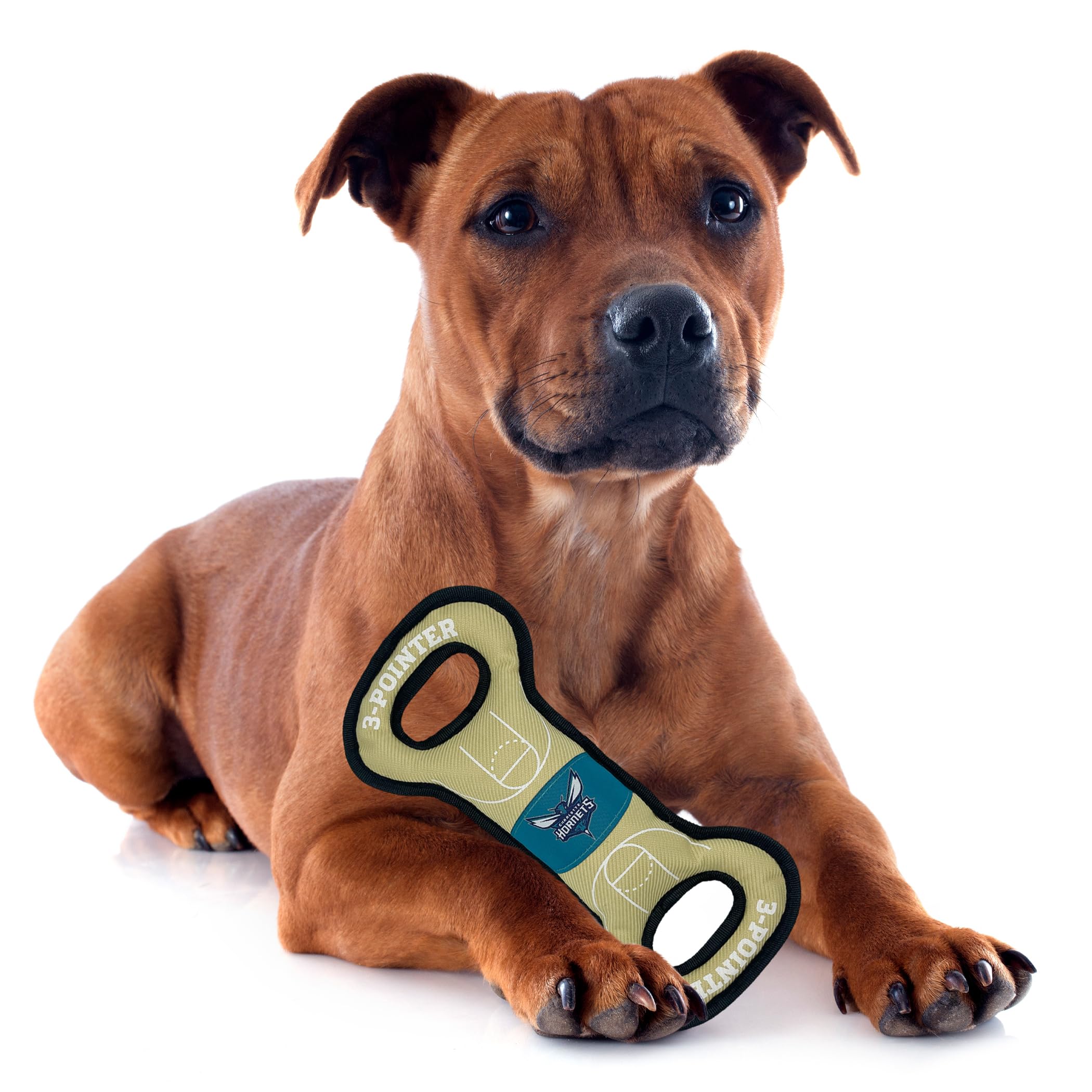 Pets First Nba Charlotte Hornets Field Toy. - Tough Nylon Pet Toy With Double Trim Stitching & Inner Squeaker, One Size