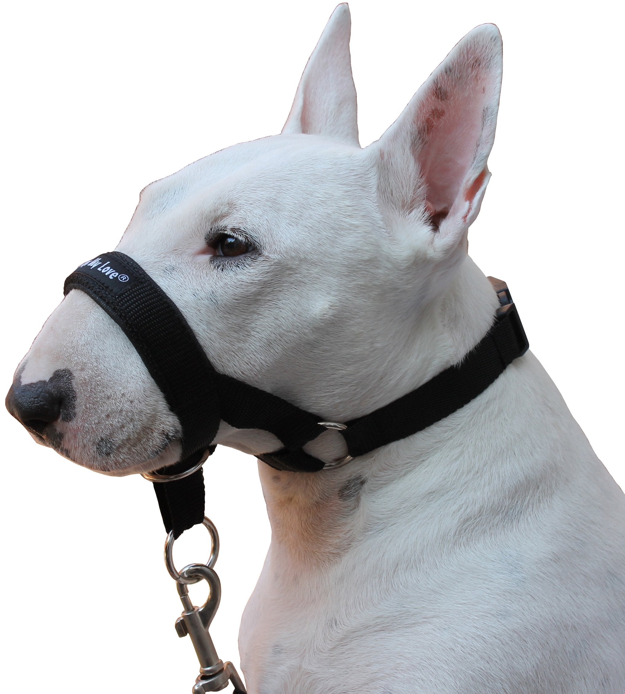 Dog Head Collar Halter Black (Xl 12Inch14.25Inch Snout)