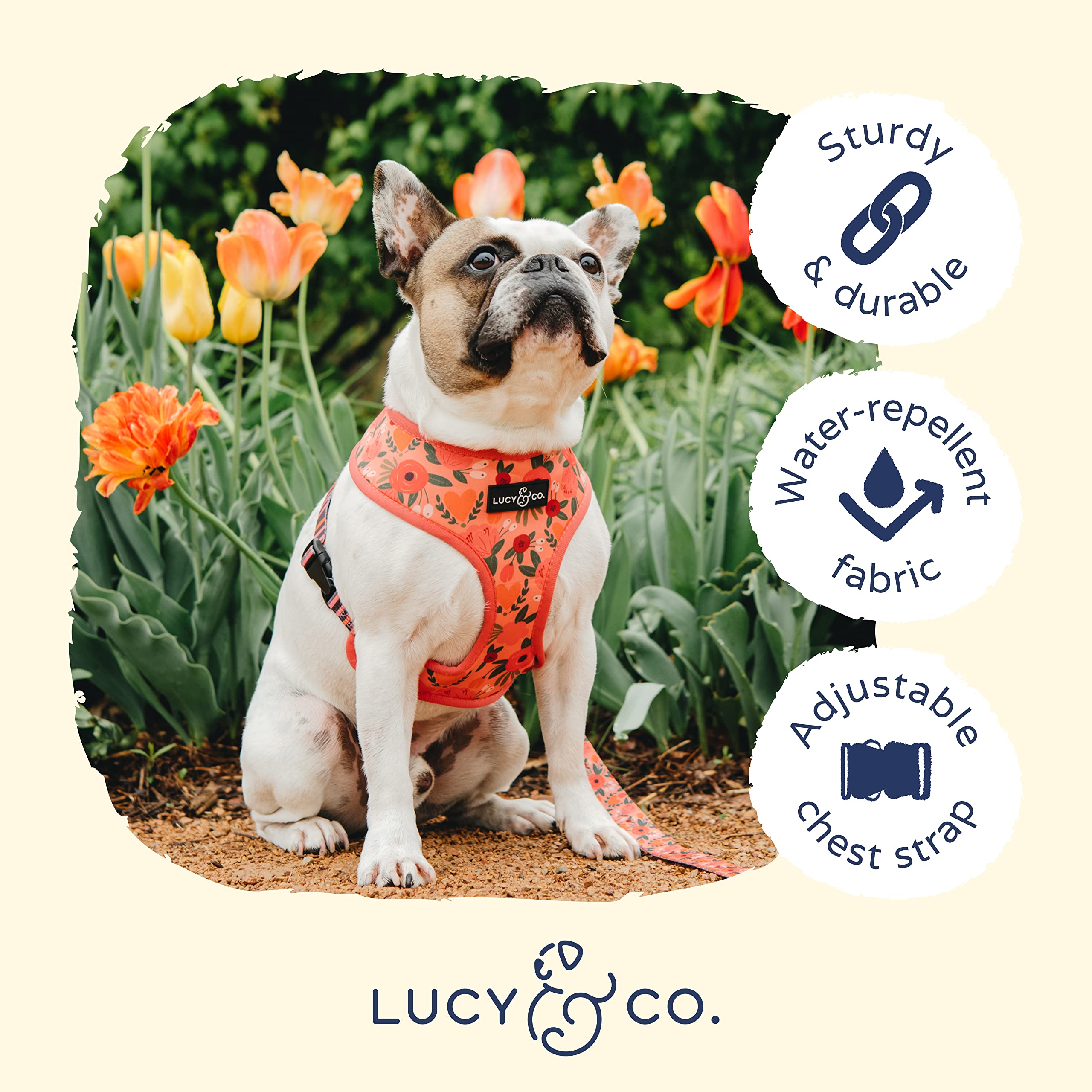 Lucy & Co Posy Pink, Reversible Dog Harness | Soft and Padded for Comfort with Ability to Easily Switch Between Two Designer Pri
