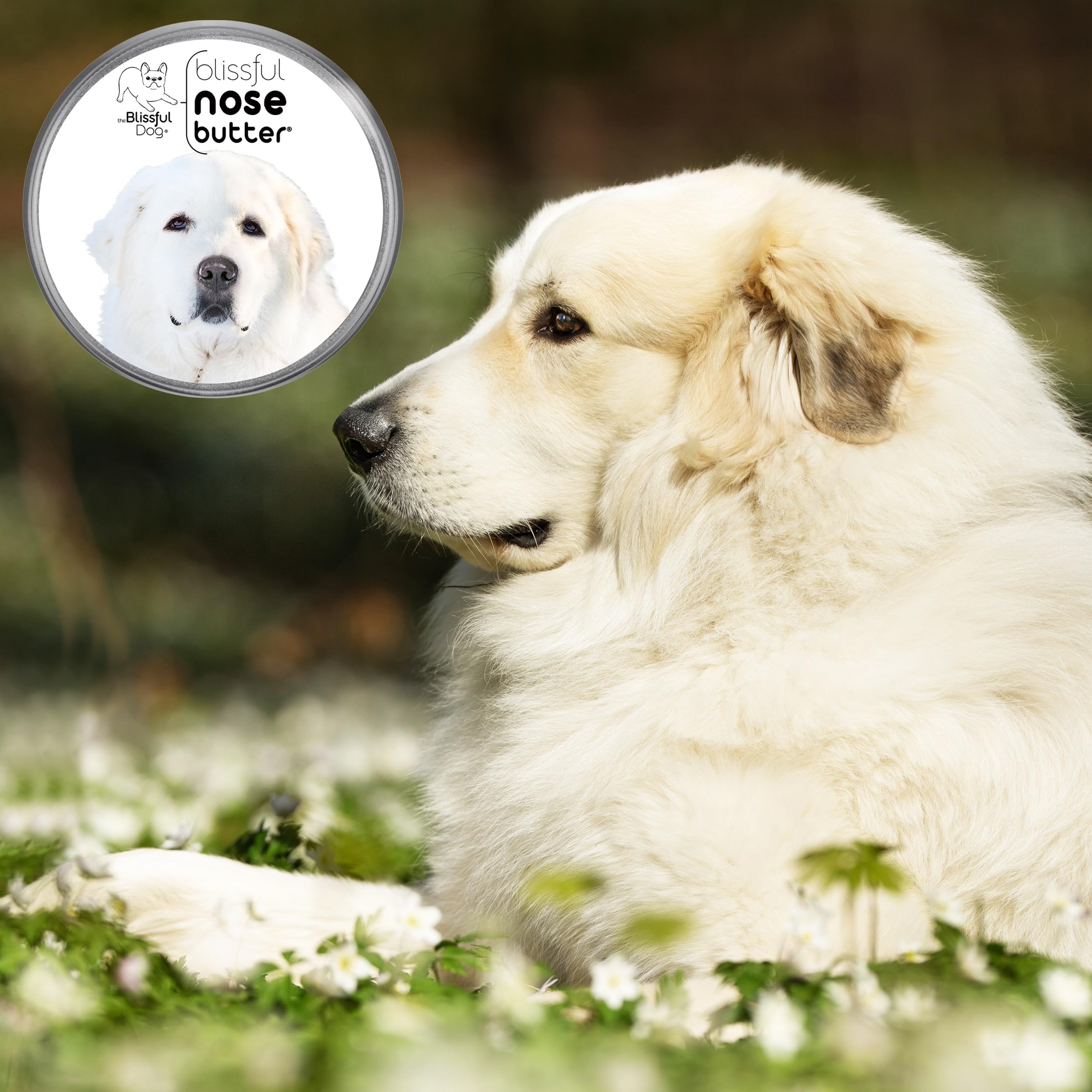 The Blissful Dog Great Pyrenees Unscented Nose Butter - Dog Nose Butter, 1 Ounce