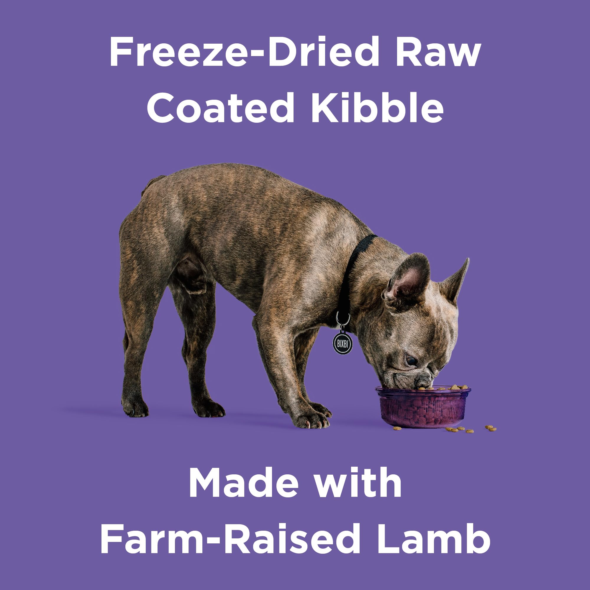 BIXBI Rawbble Dry Dog Food, Lamb, 4 lbs - USA Made with Fresh Meat - No Meat Meal & No Corn, Soy or Wheat - Freeze Dried Raw Coa