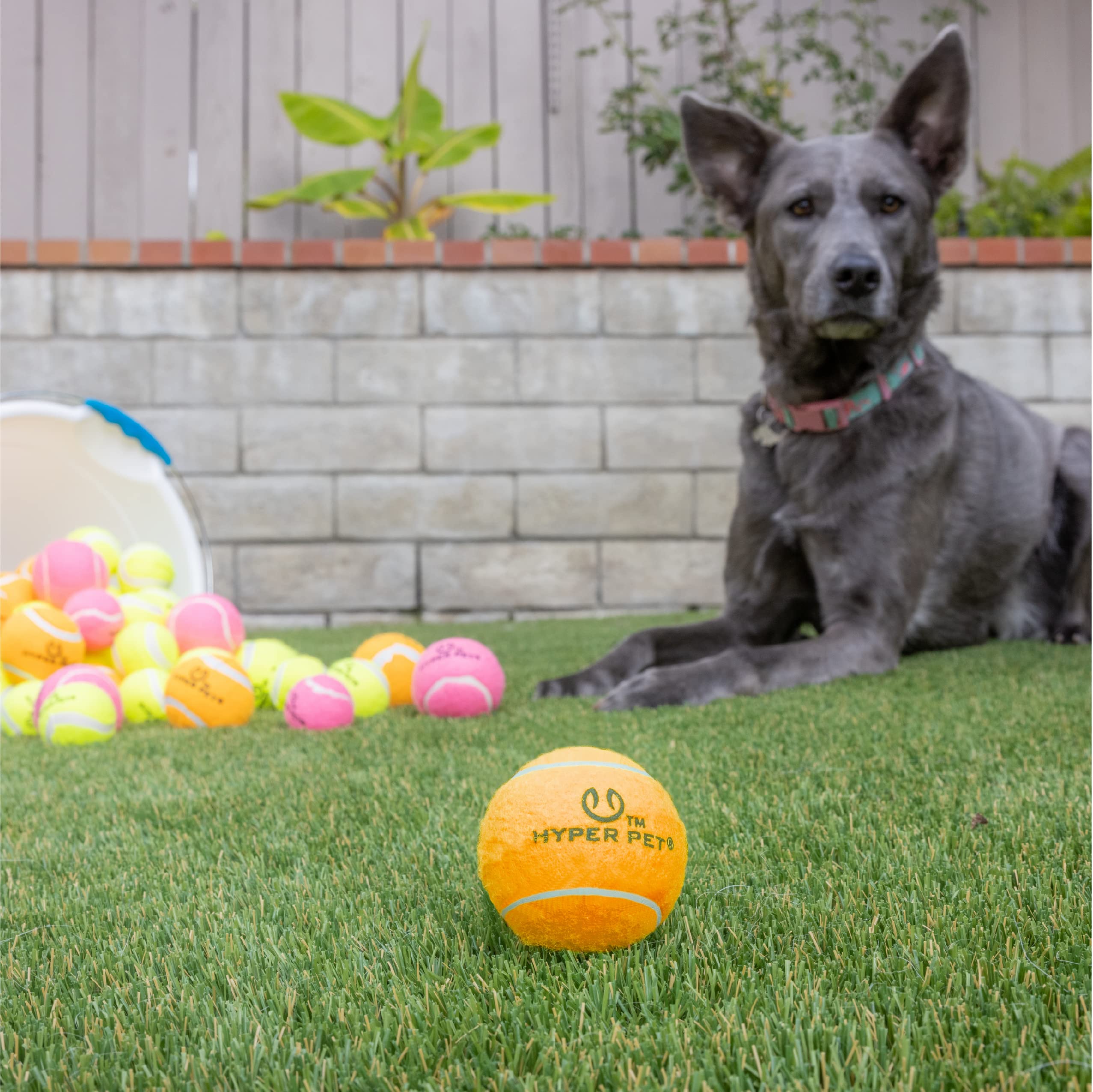 Hyper Pet Tennis Balls For Dogs (Safe Ball For Exercise And Training) Interactive Dog Toys Work With Hyper Pet K9 Kannon K2 Dog Ball Launcher - 4 Pack 2.5' Orange