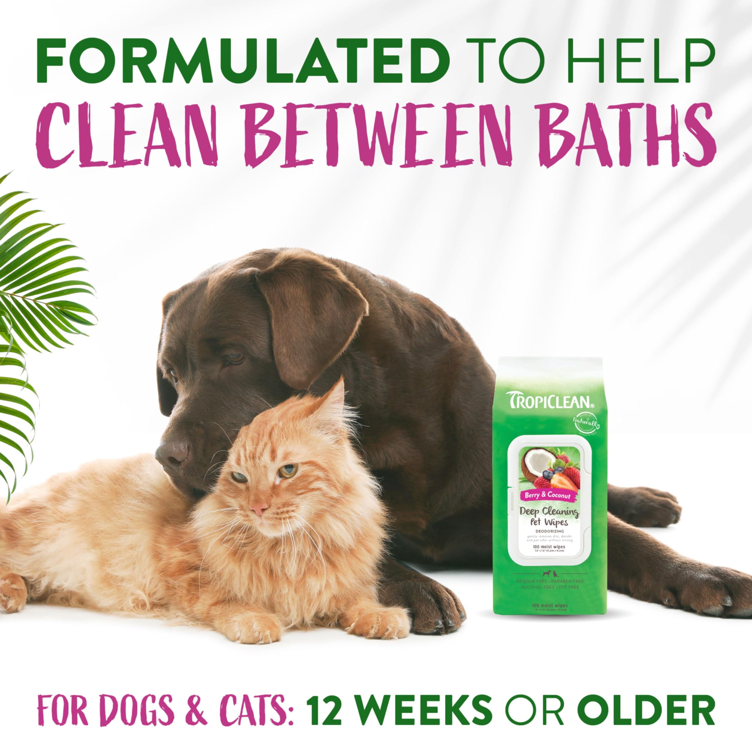 Tropiclean Berry & Coconut Dog Wipes For Paws And Butt | Deep Cleaning Dog Grooming Wipes | Safe For The Face | Cat Friendly | 100 Count
