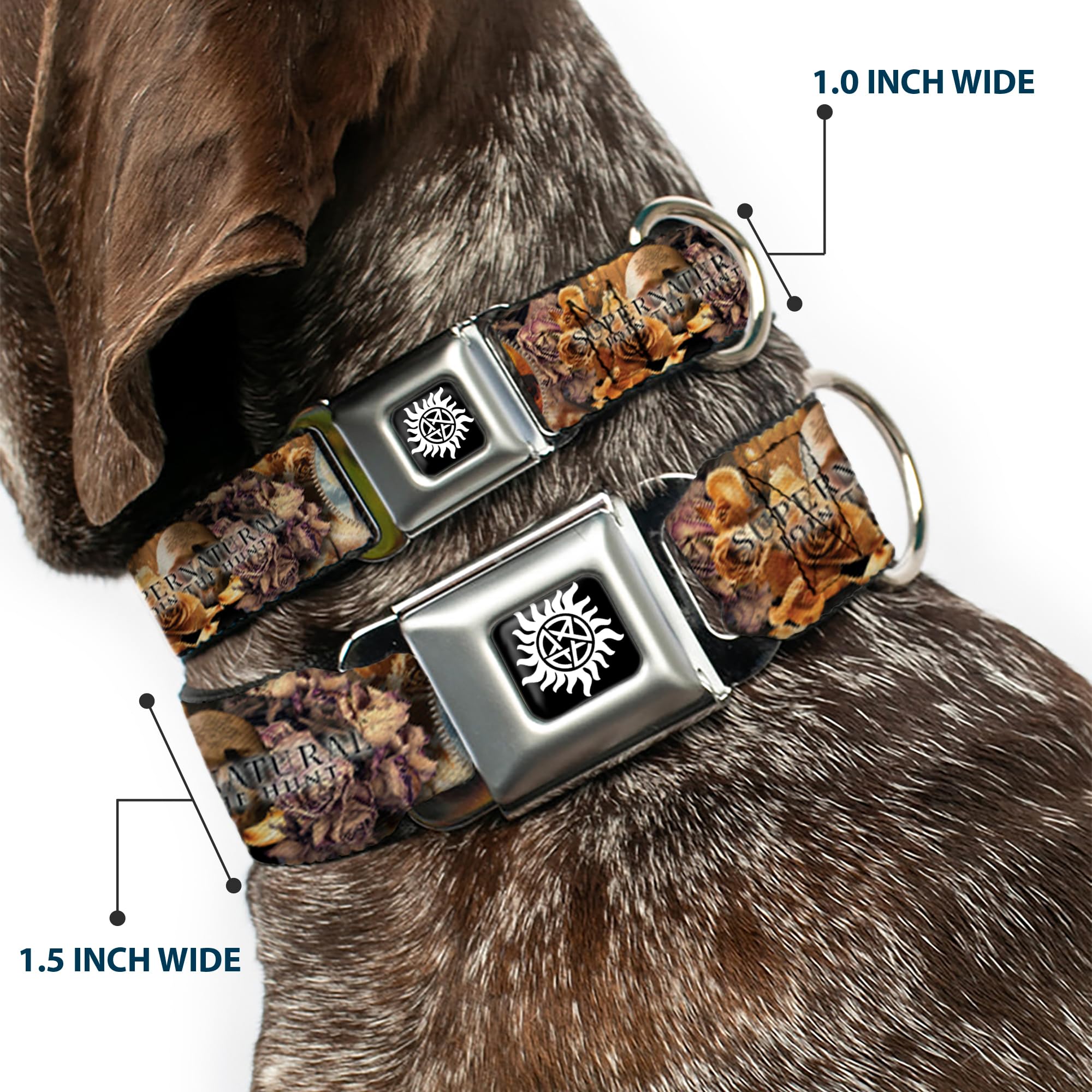 Buckle-Down Dog Collar Seatbelt Buckle Supernatural 4 Character Saintly Icons Skull Roses, 1 Wide - Fits 11-17 Neck - Medium