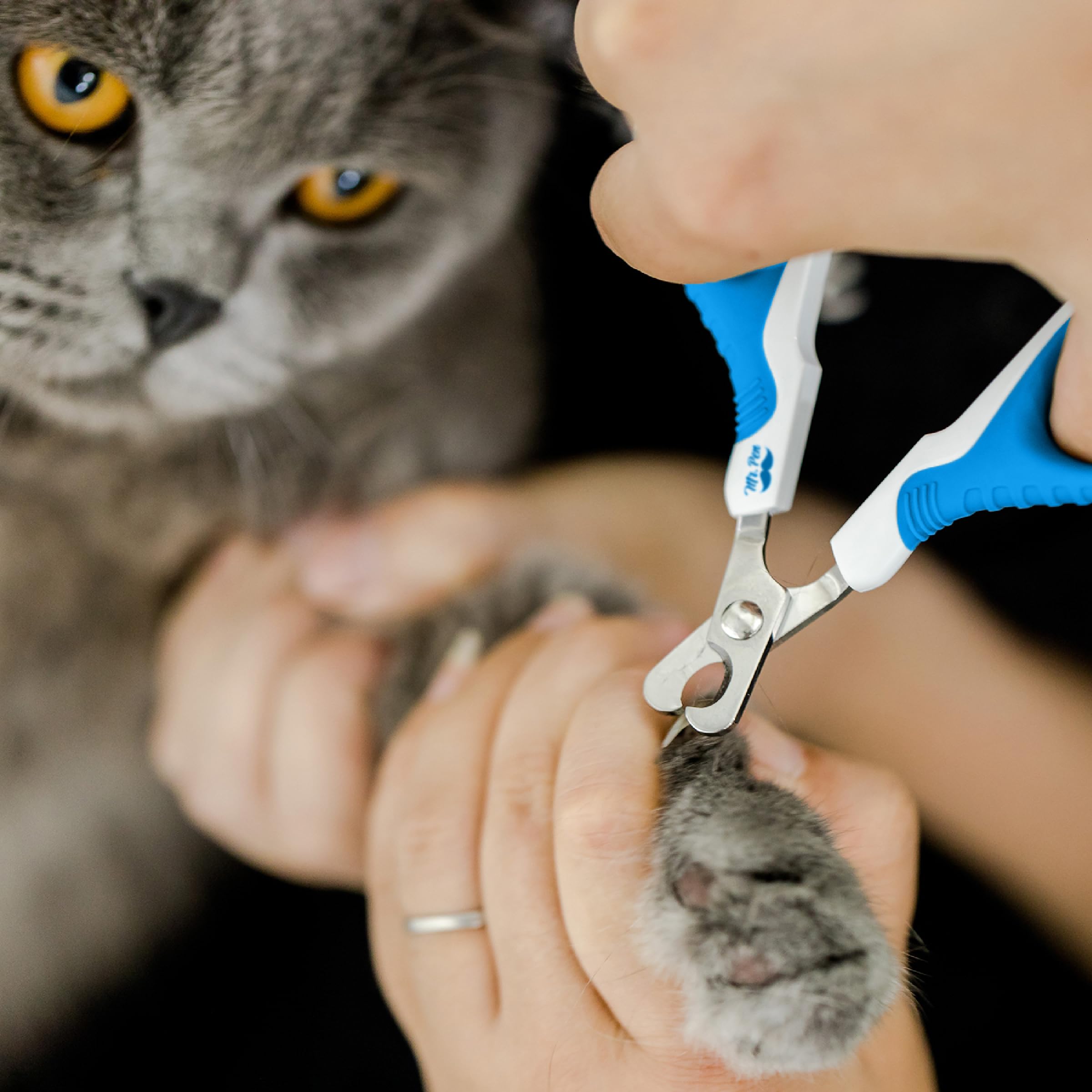 Mr. Pen- Cat Nail Clipper, Blue & White Cat Nail Trimmer, Cat Nail Clippers, Cat Claw Clippers, Cat Clippers For Nails, Pet Nail Clippers, Kitten Nail Clipper, Small Dog Nail Clipper Cat Claw Trimmer