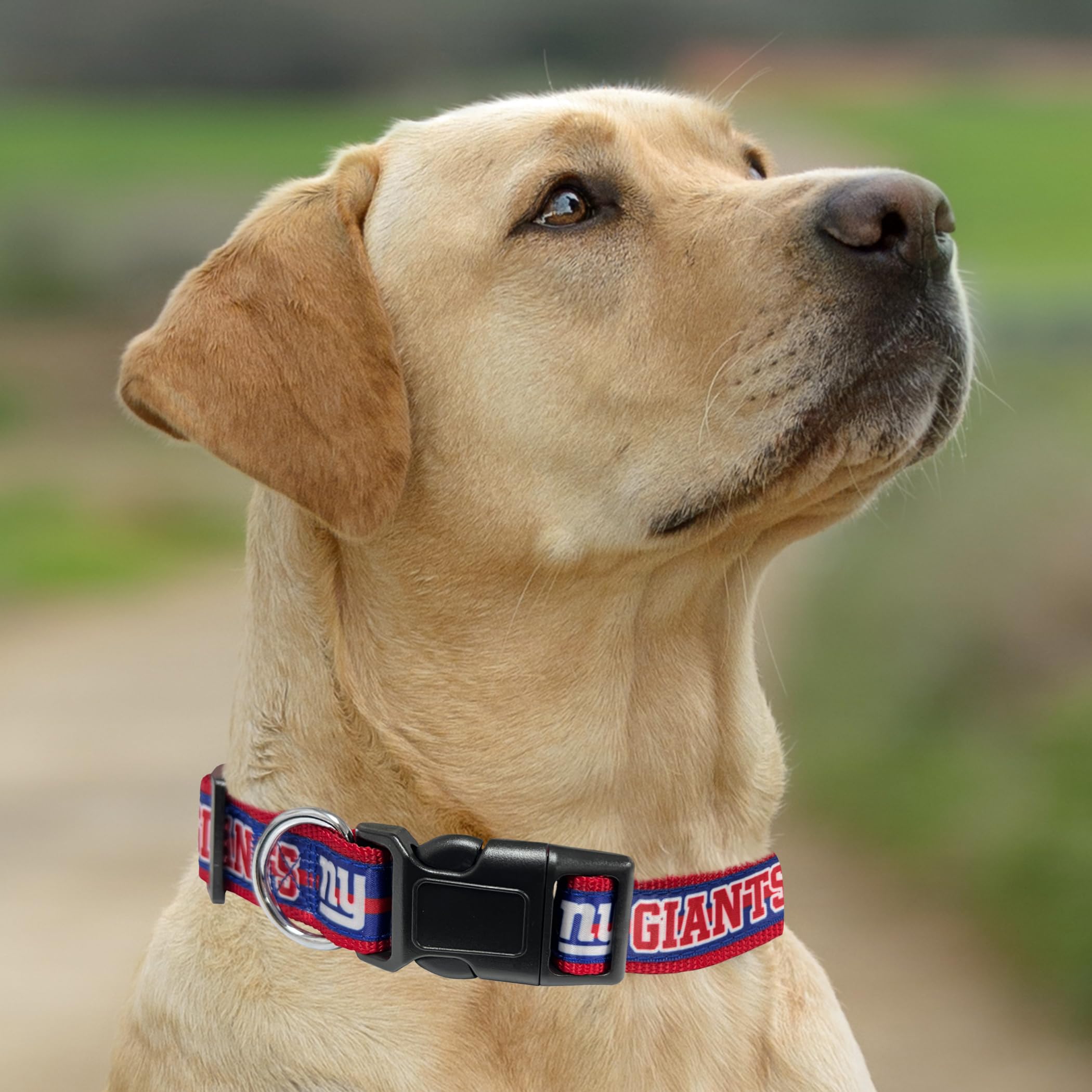 Pets First NFL New York Giants Licensed PET COLLAR, Small - Heavy-Duty, Strong, and Durable Dog Collar. Available in 31 Football