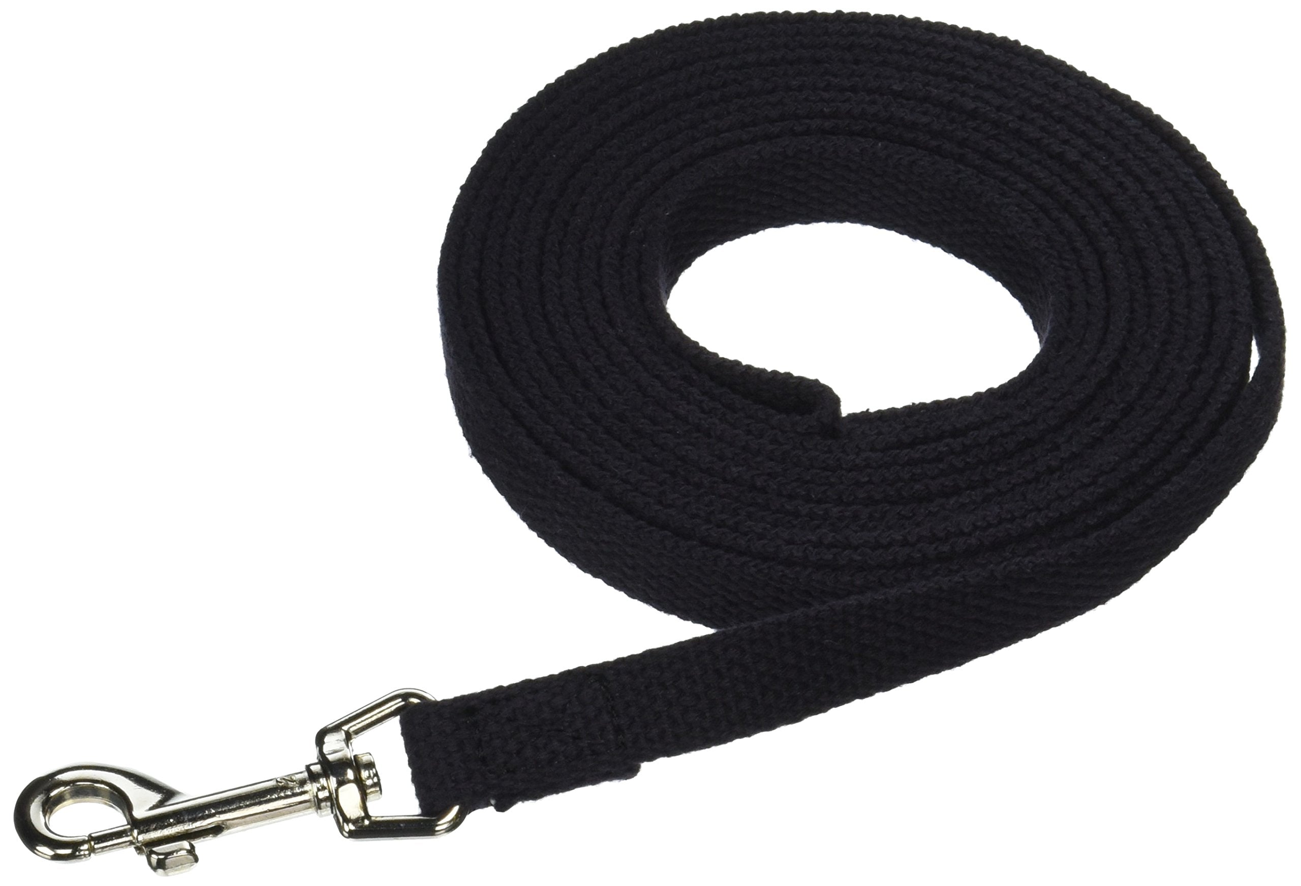 Omnipet Leather Brothers 10-Feet Web Lead, Small, Black