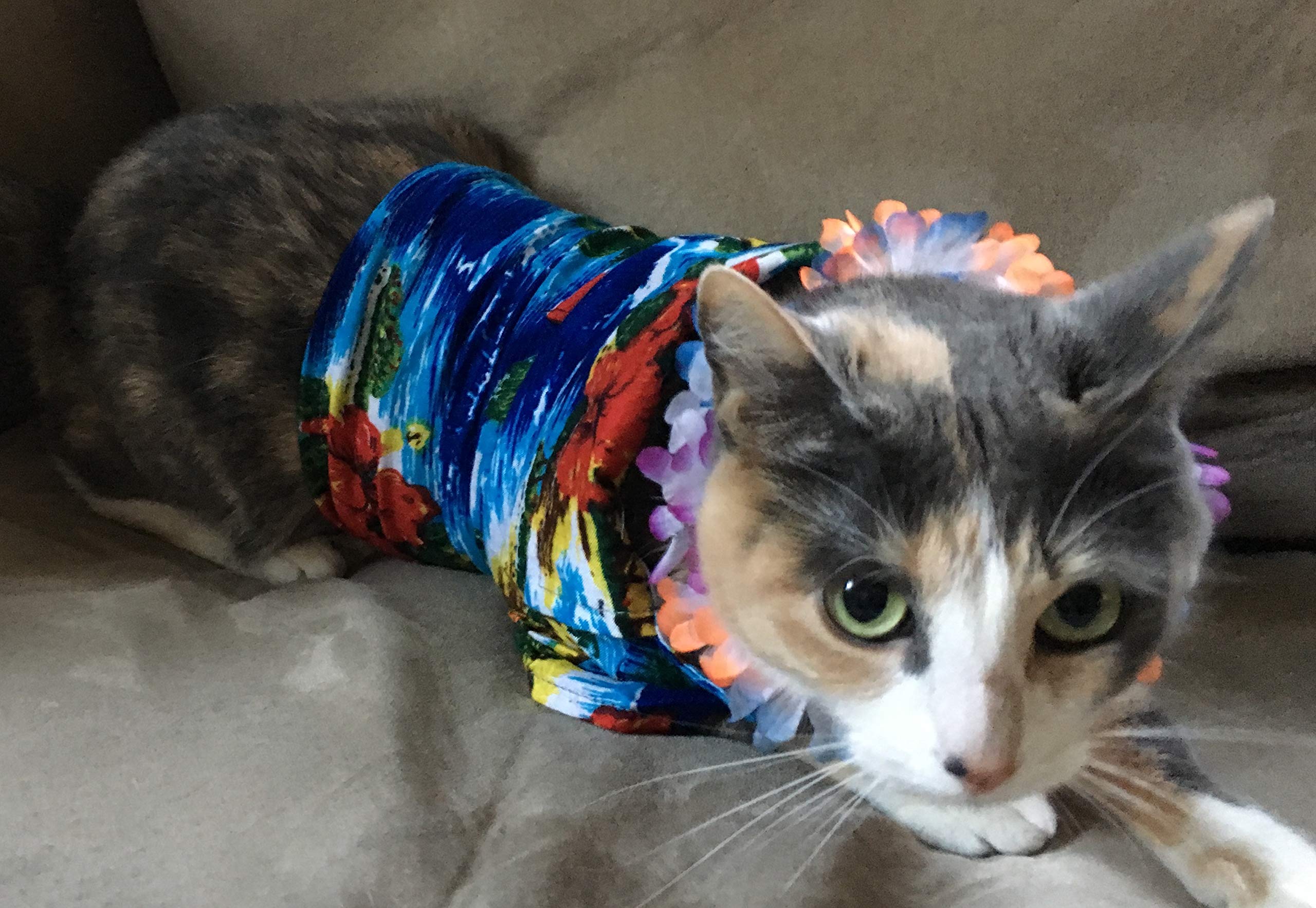 Rubie'S Luau Pet Costume, Medium
