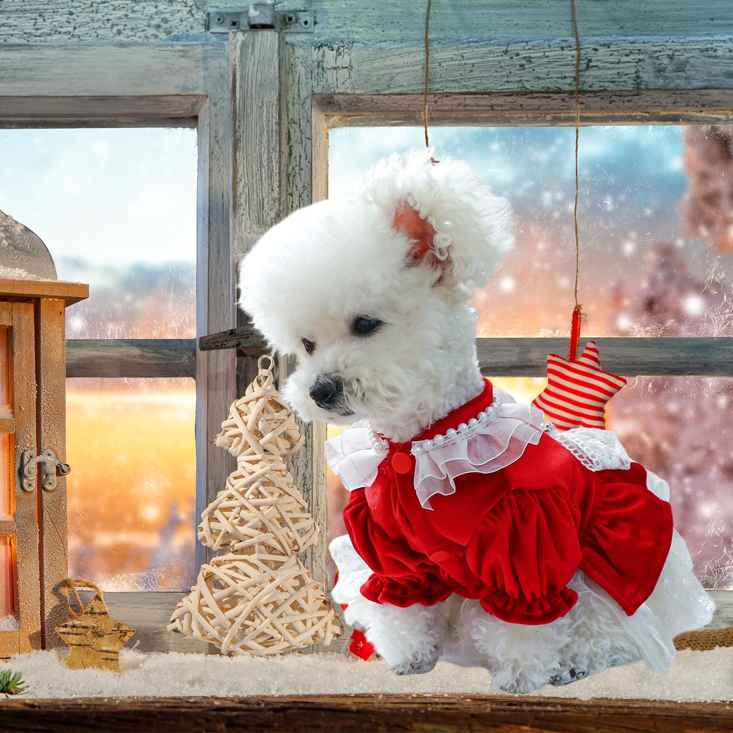 Fladorepet Dog Christmas Costume Outfits,Red Velvet Small Dog Bowknot Pearl Dress Tutu Skirt, Winter Cat Clothes Pet Apparel (Re