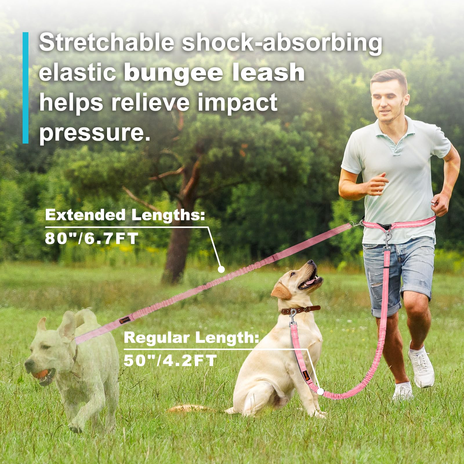 Laqibak Hands Free Dog Leash, Adjustable Waist Leash For Dog Walking, Dual Handle Bungee Dog 4.2-6.7 Feet Long With Reflective S