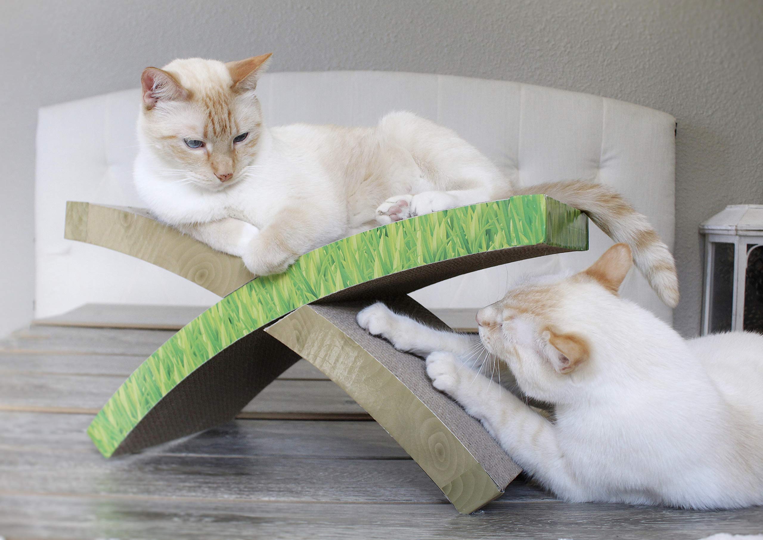 Catstages Easy Life Hammock Corrugated Cat Scratcher With Catnip