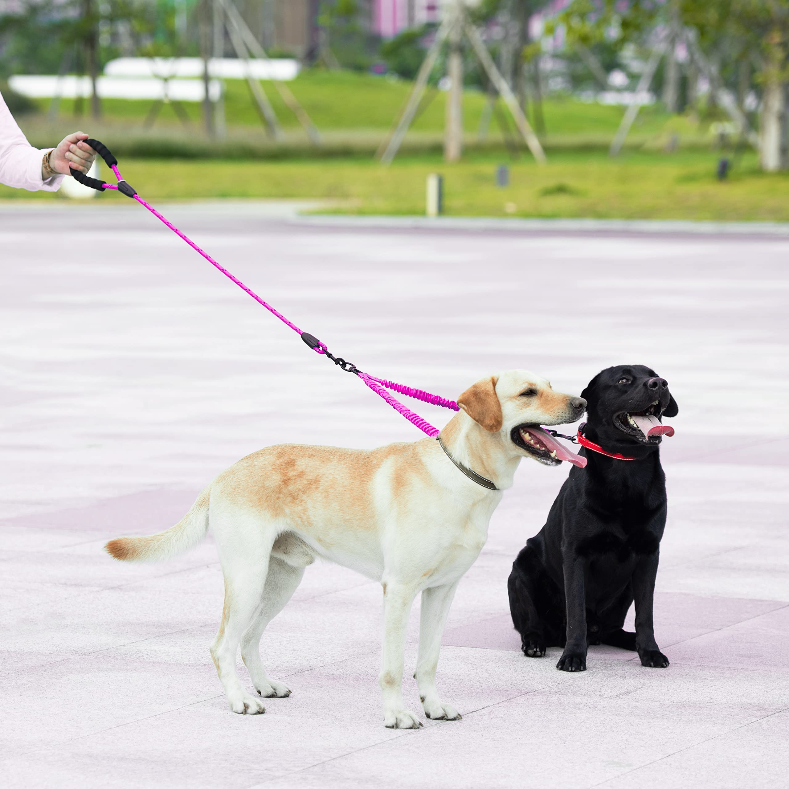Iyoshop Dual Dog Leash, Double Dog Leash, 360 Swivel No Tangle Walking Leash, Shock Absorbing Bungee For Two Dogs, Pink, Large (25-150 Lbs)