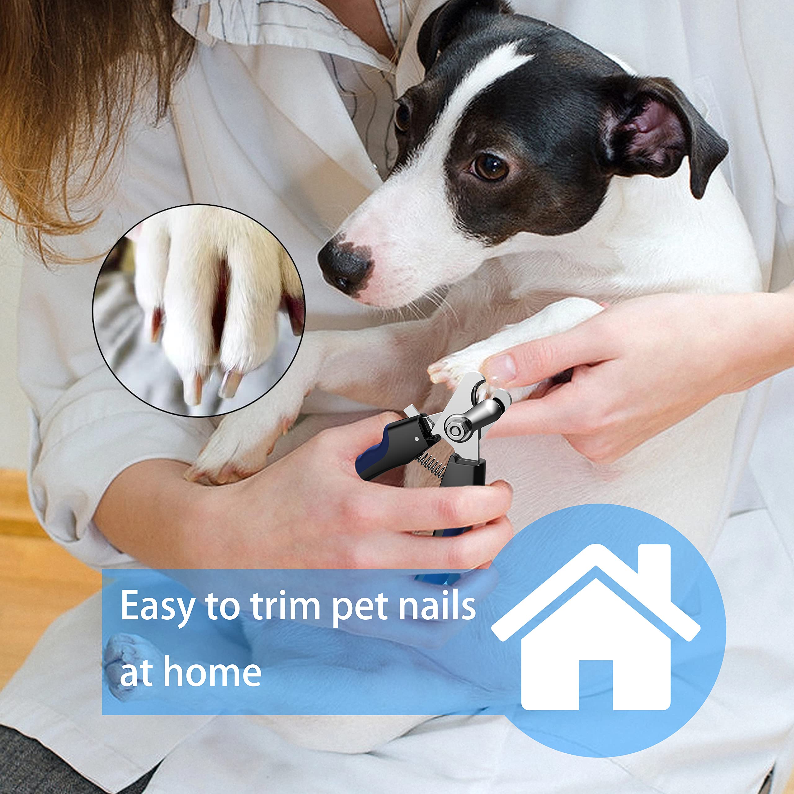 Perperqer Dog Nail Clippers - Stainless Steel Trimmers with Safety Guard for All Breeds, Navy, Model PC20230320