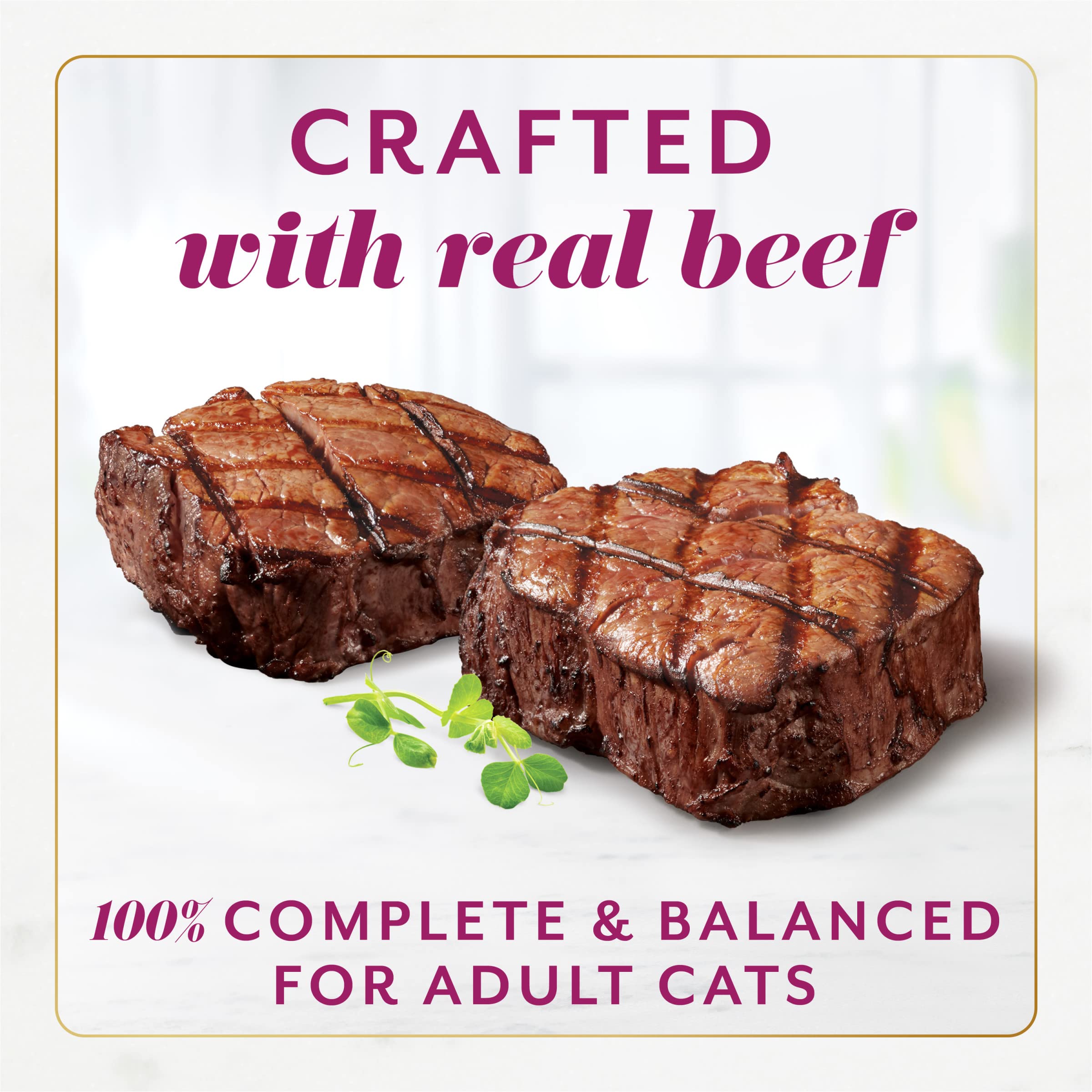 Fancy Feast Gems Pate Cat Food Mousse with Beef and a Halo of Savory Gravy Cat Food - (Pack of 8) 4 oz. Boxes